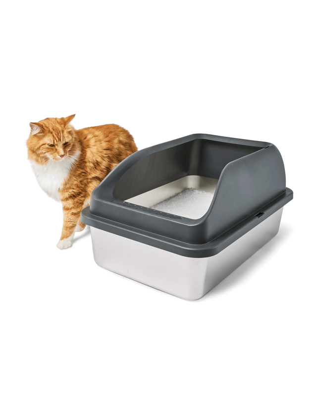 calories in tiki cat wet food Tiki Cat After Dark Wet Cat Food