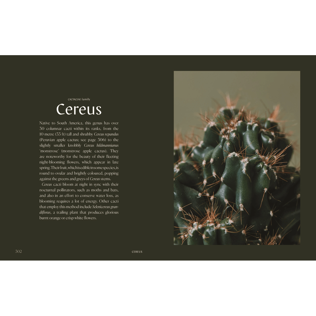 2 Plantopedia: The Definitive Guide to Houseplants by Lauren Camilleri and Sophia Kaplan - Book, 2 of 10