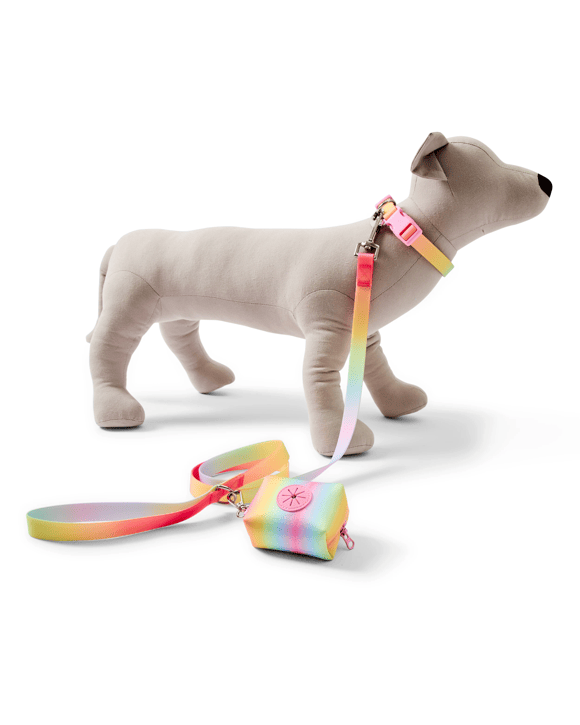 Pet Rainbow Walking Set - Large
