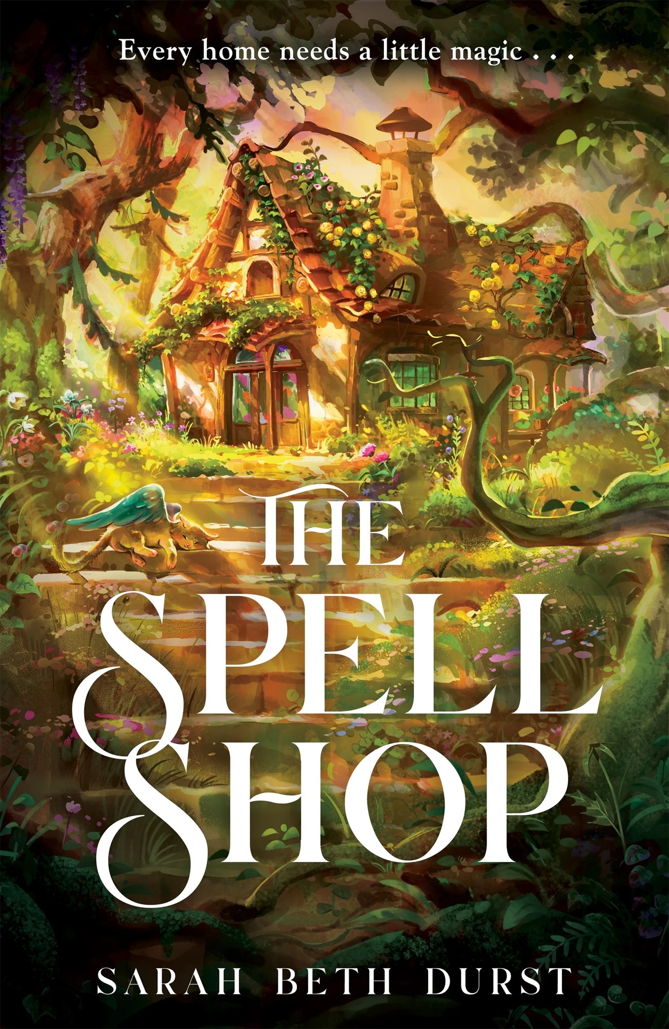 1 The Spellshop by Sarah Beth Durst - Book