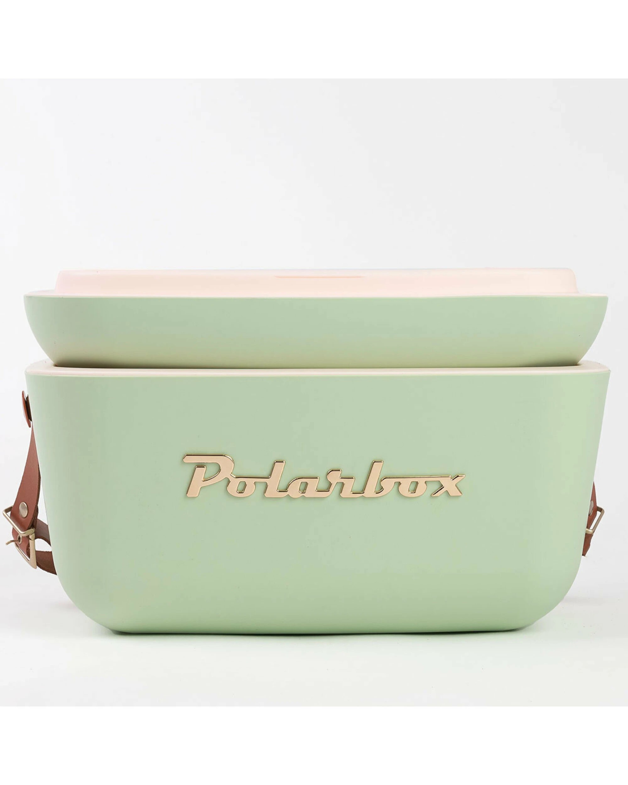 3 Polarbox Gold Logo 20L Cooler Sage, 3 of 4