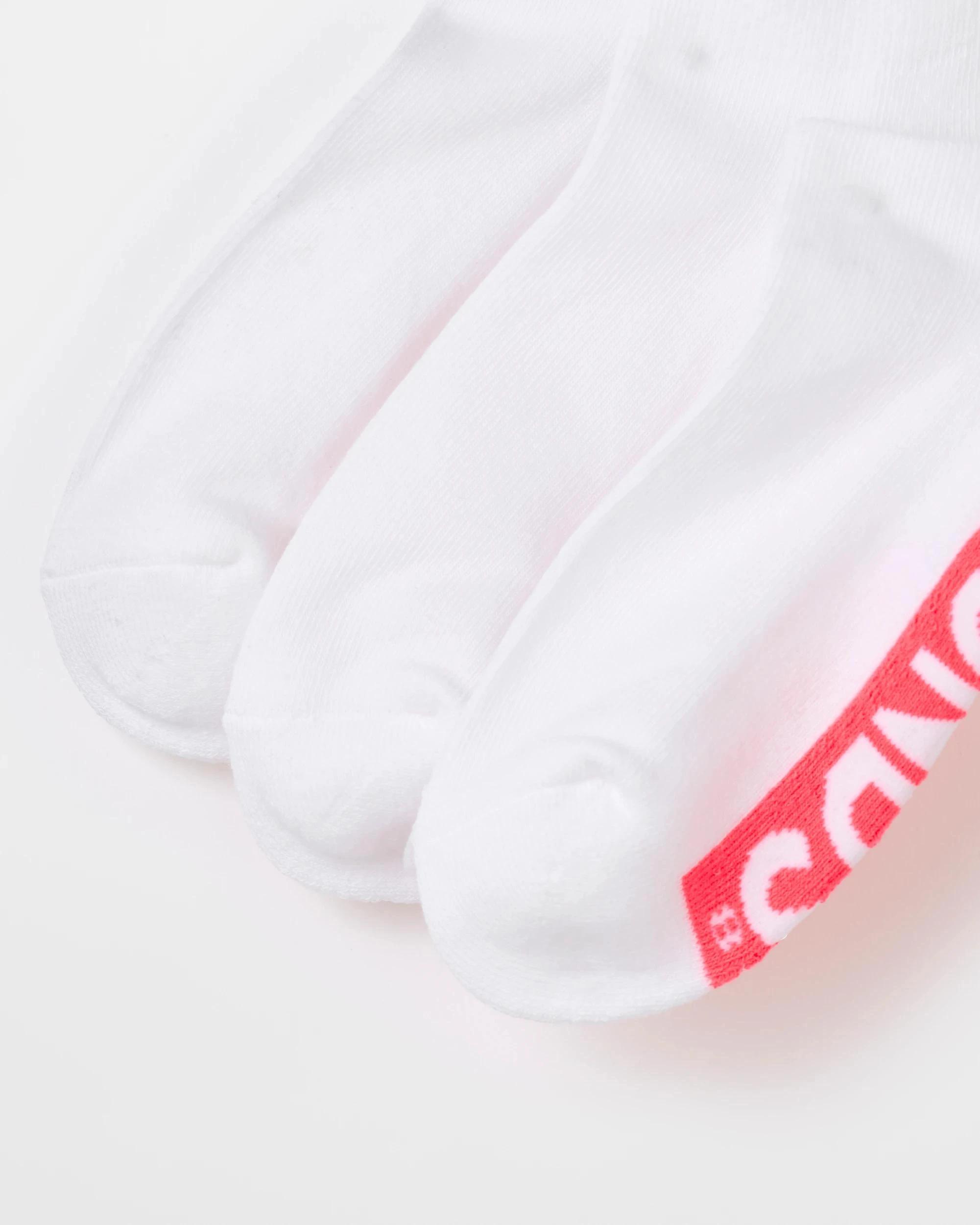 5 Women's Cotton Blend Cushioned Low Cut Socks 3 Pack - Bonds WHITE, 5 of 6