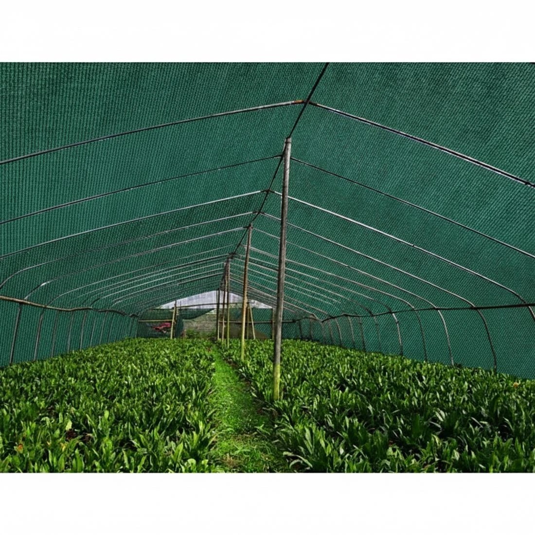 4 Instahut 50% Shade Cloth 3.66x30m Shadecloth Sail Heavy Duty - Green, 4 of 5