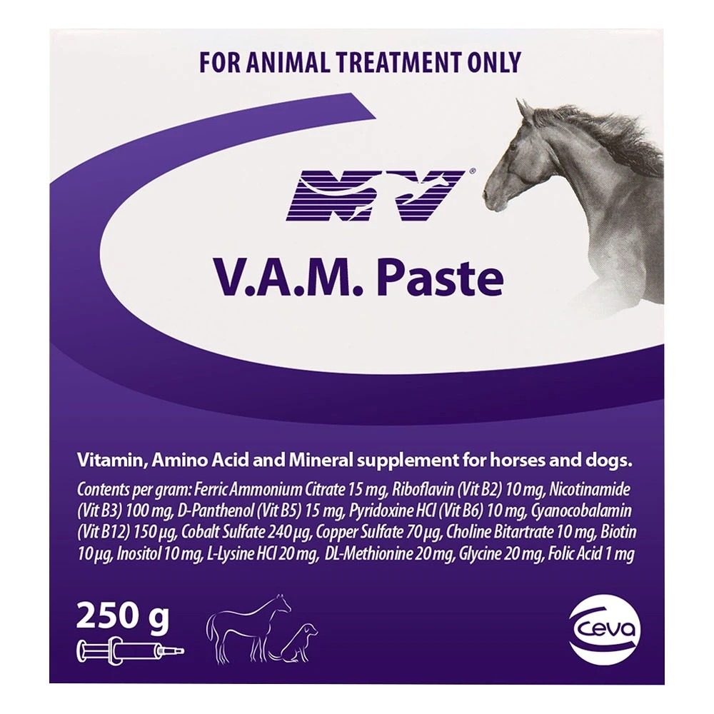 1 Ceva Nv V.A.M Paste Supplement For Horses And Dogs  250 Gm, 1 of 1