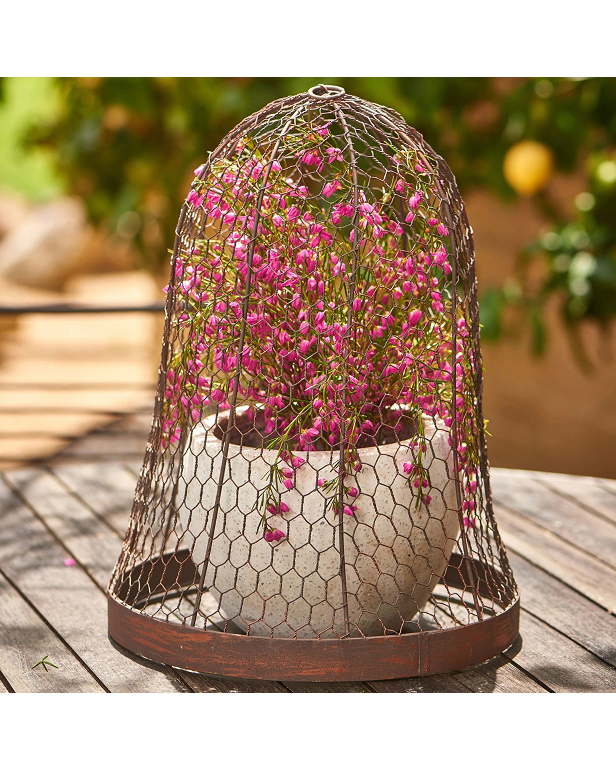 2 Alfresco Round Metal 44cm Cloche Outdoor Garden Plant Protector - Brown, 2 of 3