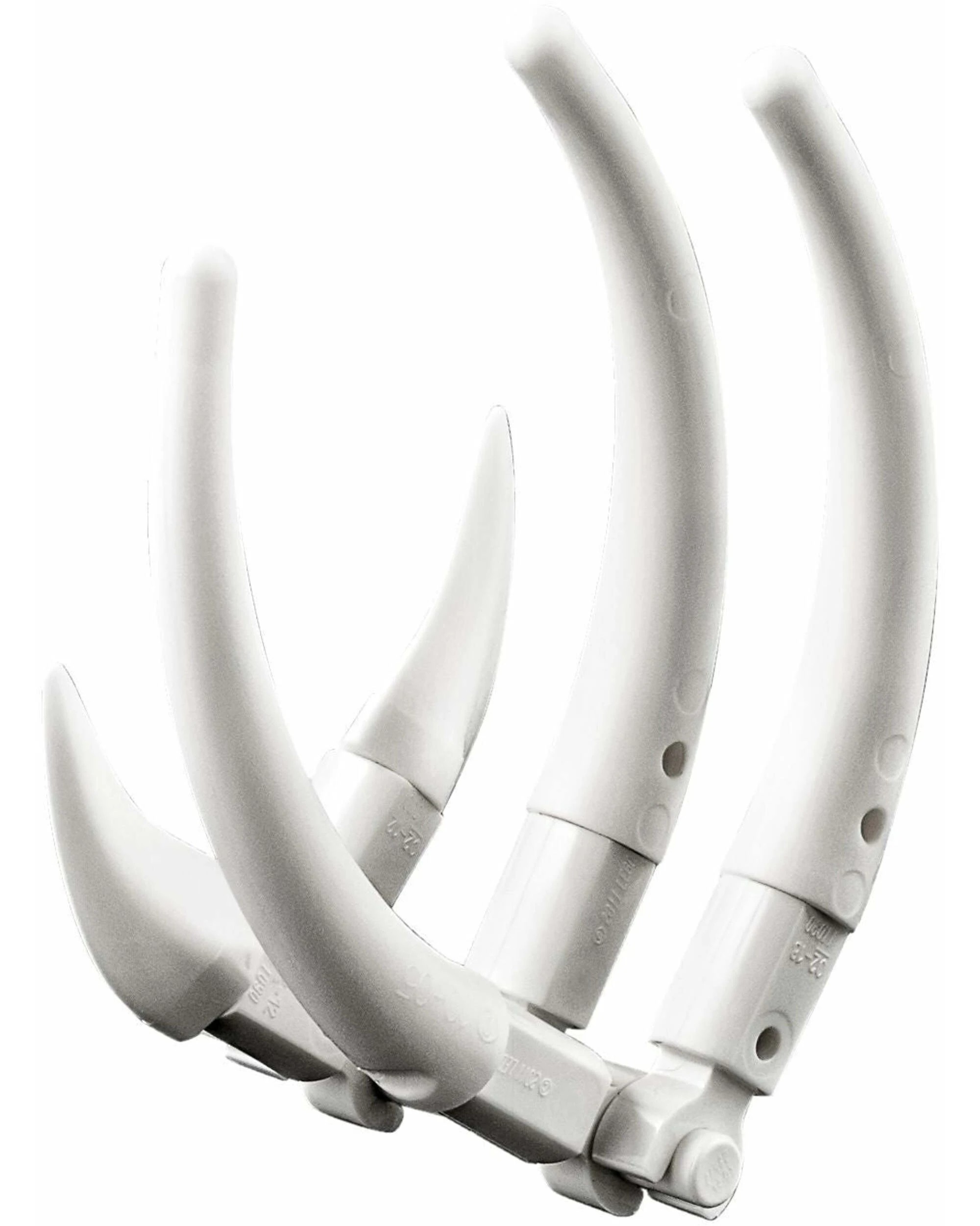 5 LEGO 31058 Creator Series Series Mighty Dinosaurs, 5 of 5