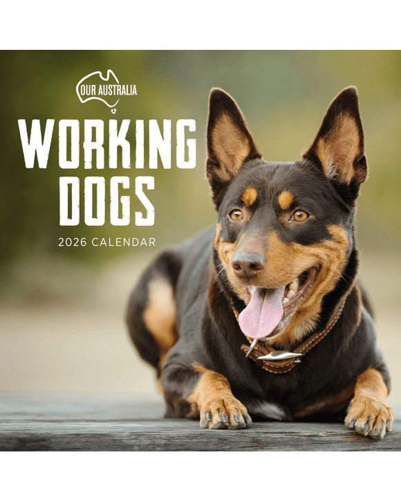 Our Australia Working Dogs 2026 Calendar
