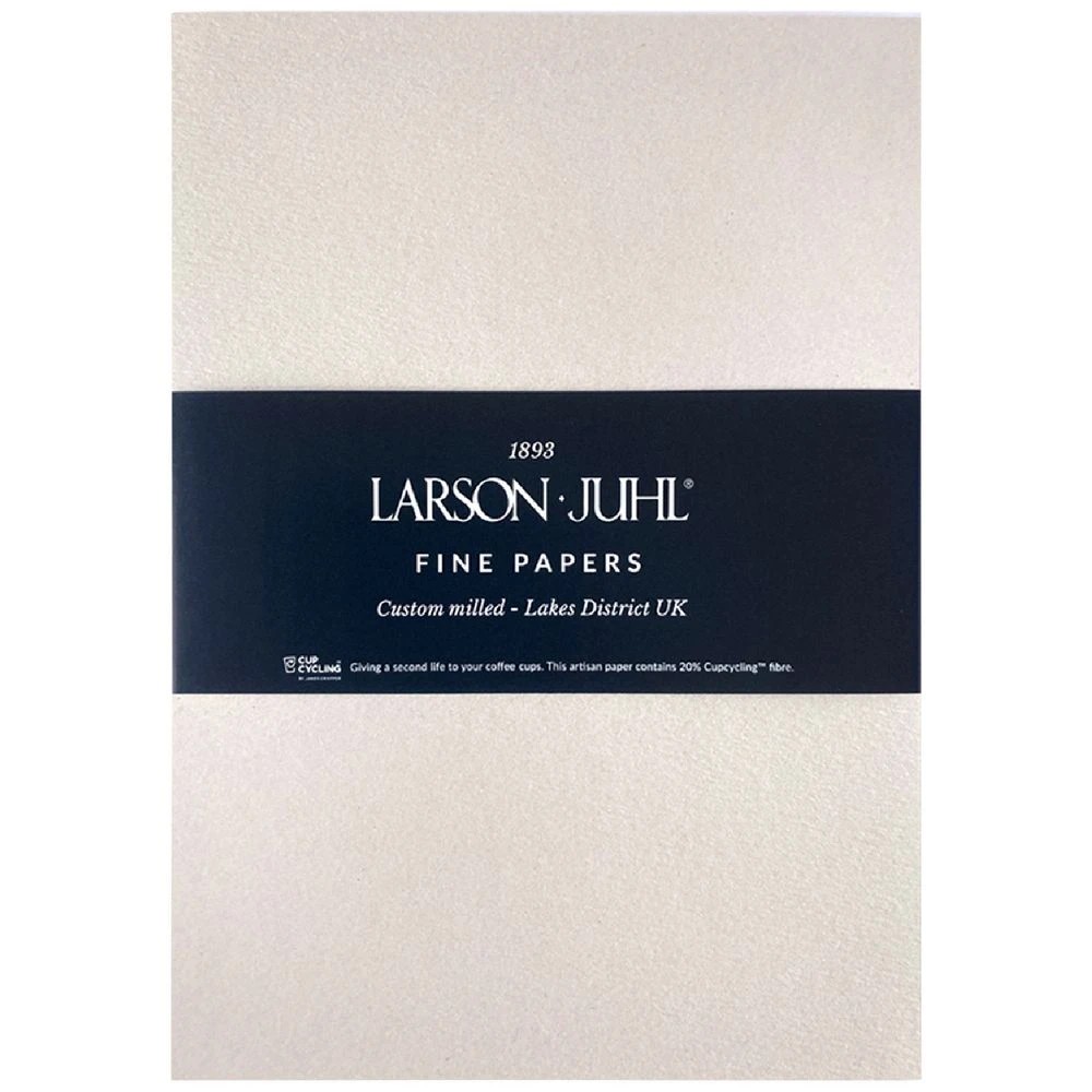 1 Larson-Juhl DL Envelopes Elation Silver 10 Pack, 1 of 1