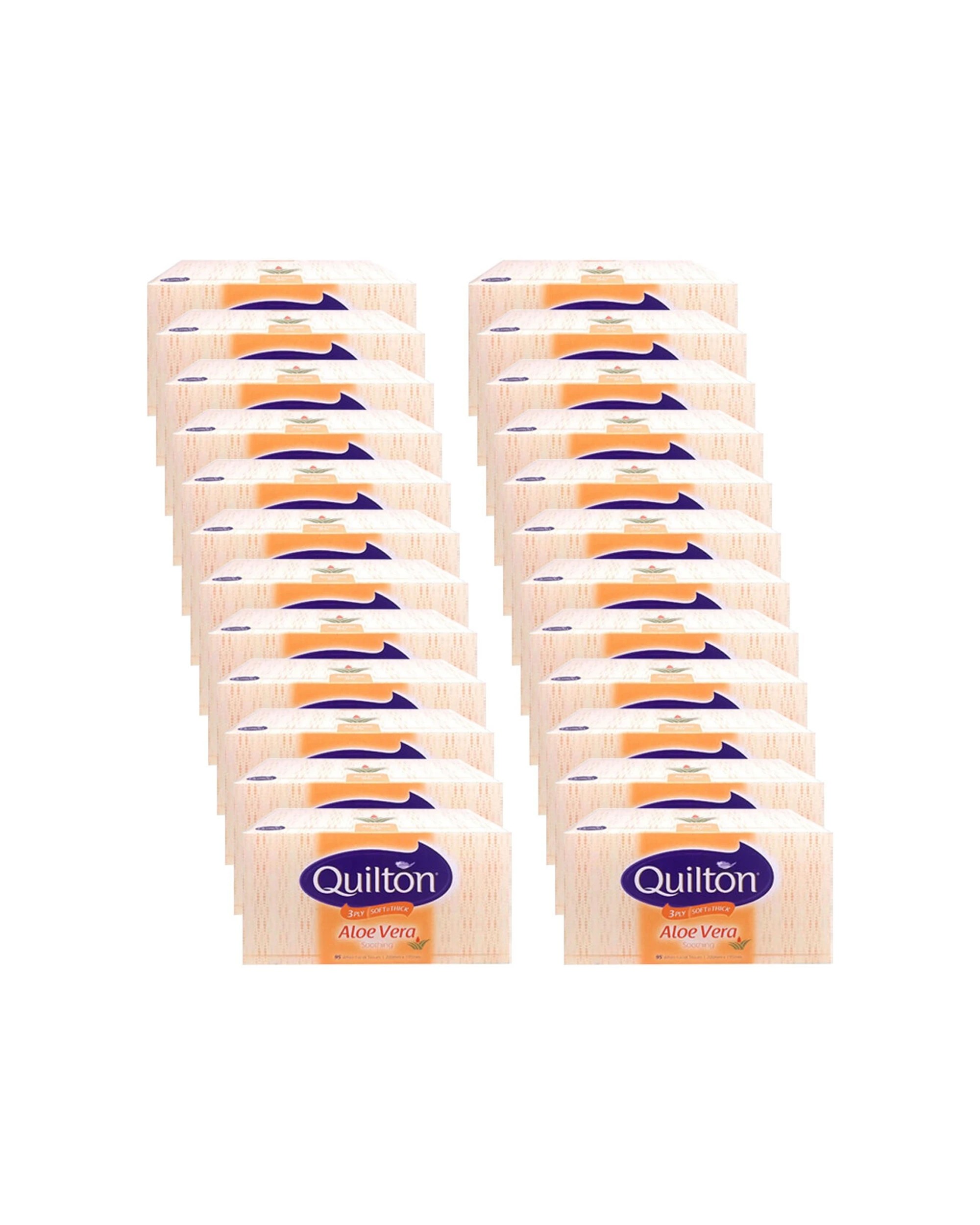 1 Quilton 24PK 3 Ply Facial Tissues 95pc Aloe Vera Soothing - White, 1 of 1