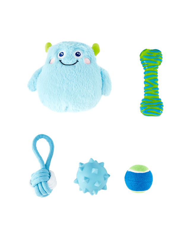 5 Pack Pet Toy Blue Mon