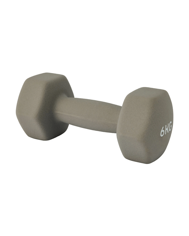 6kg Dumb