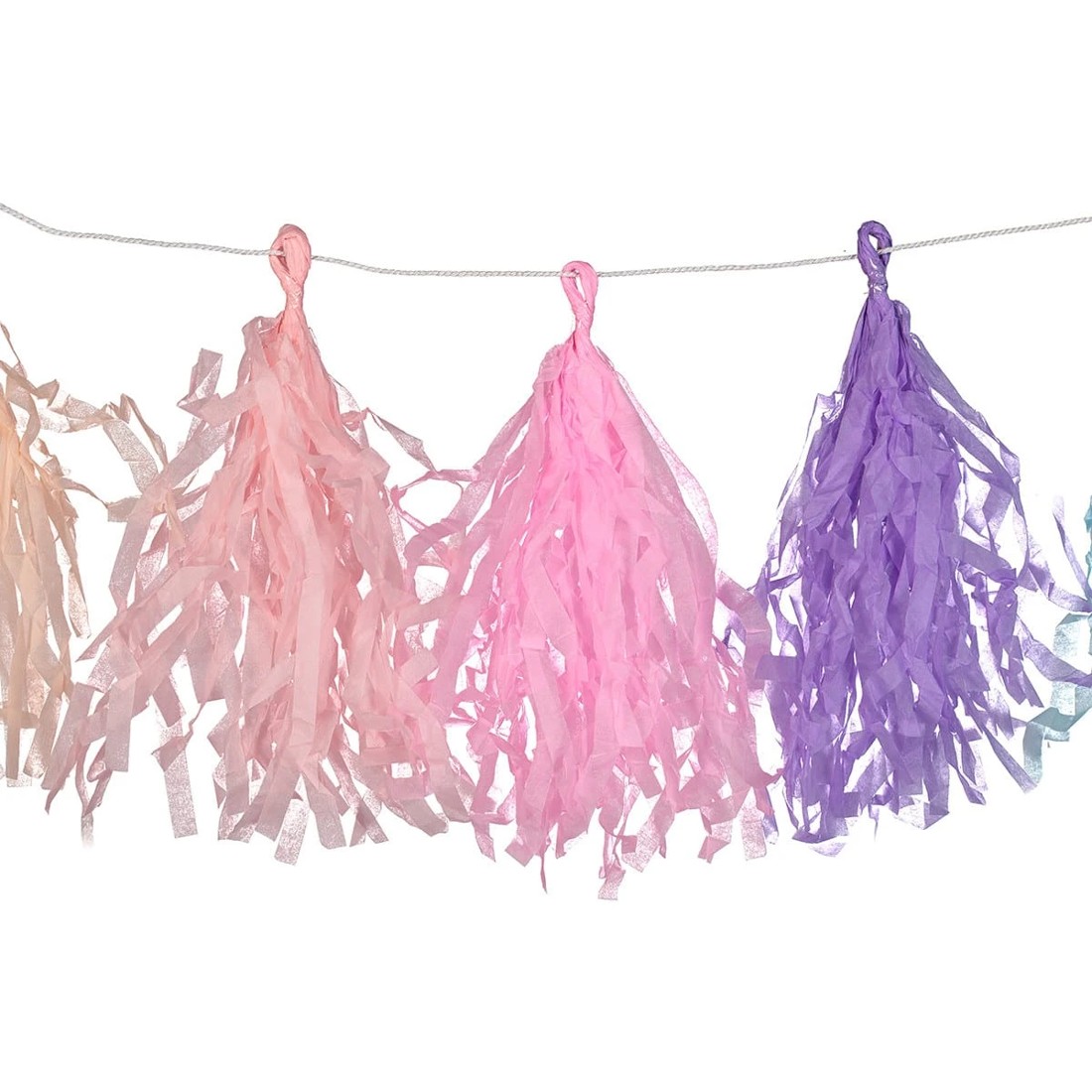 2 Pastel Rainbow Tassel Garland, 2 of 4