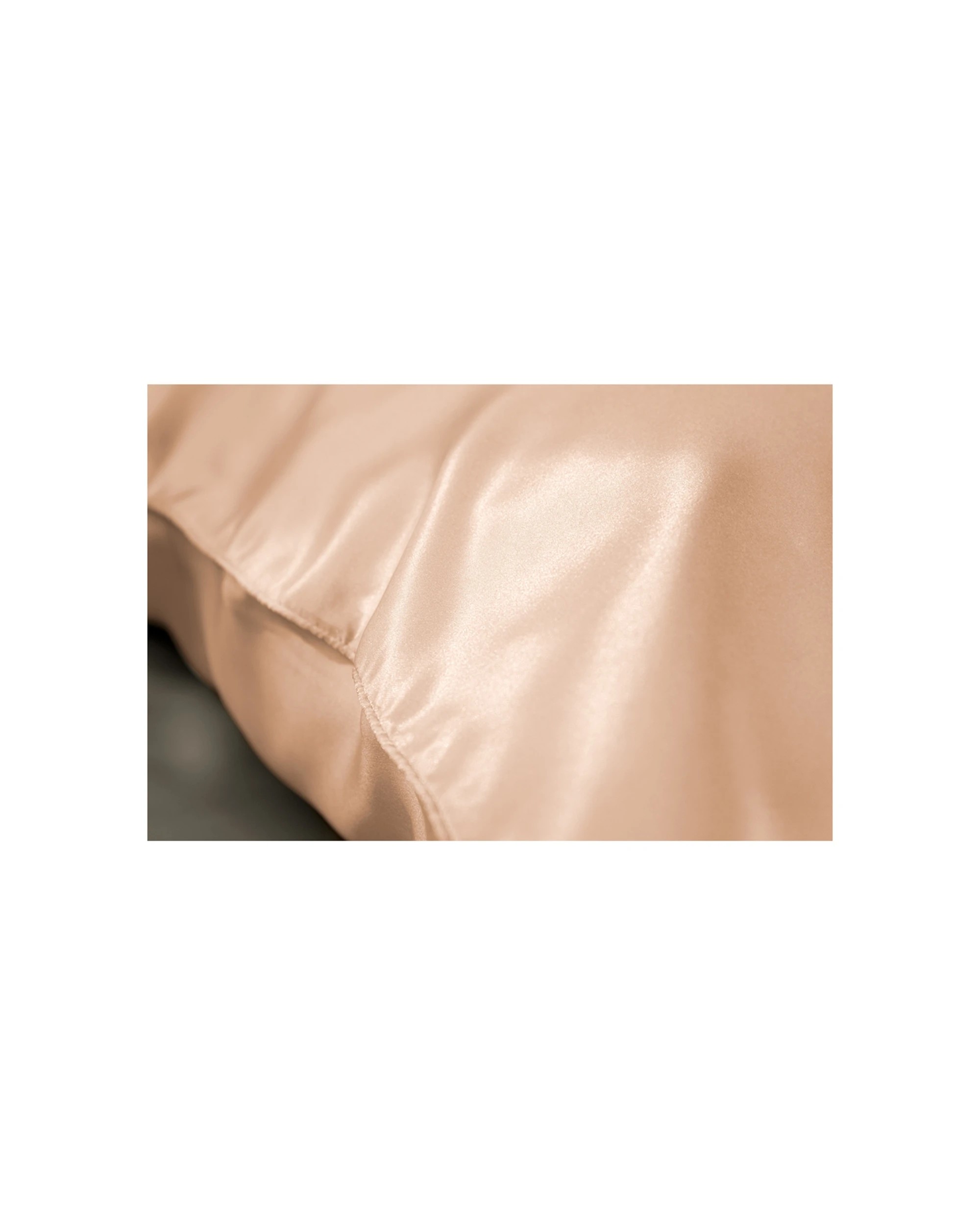 4 ARDOR Silk Pillow Case Mulberry Silk 51x76cm Pillowcase Frizz Reduction 1x, 4 of 5