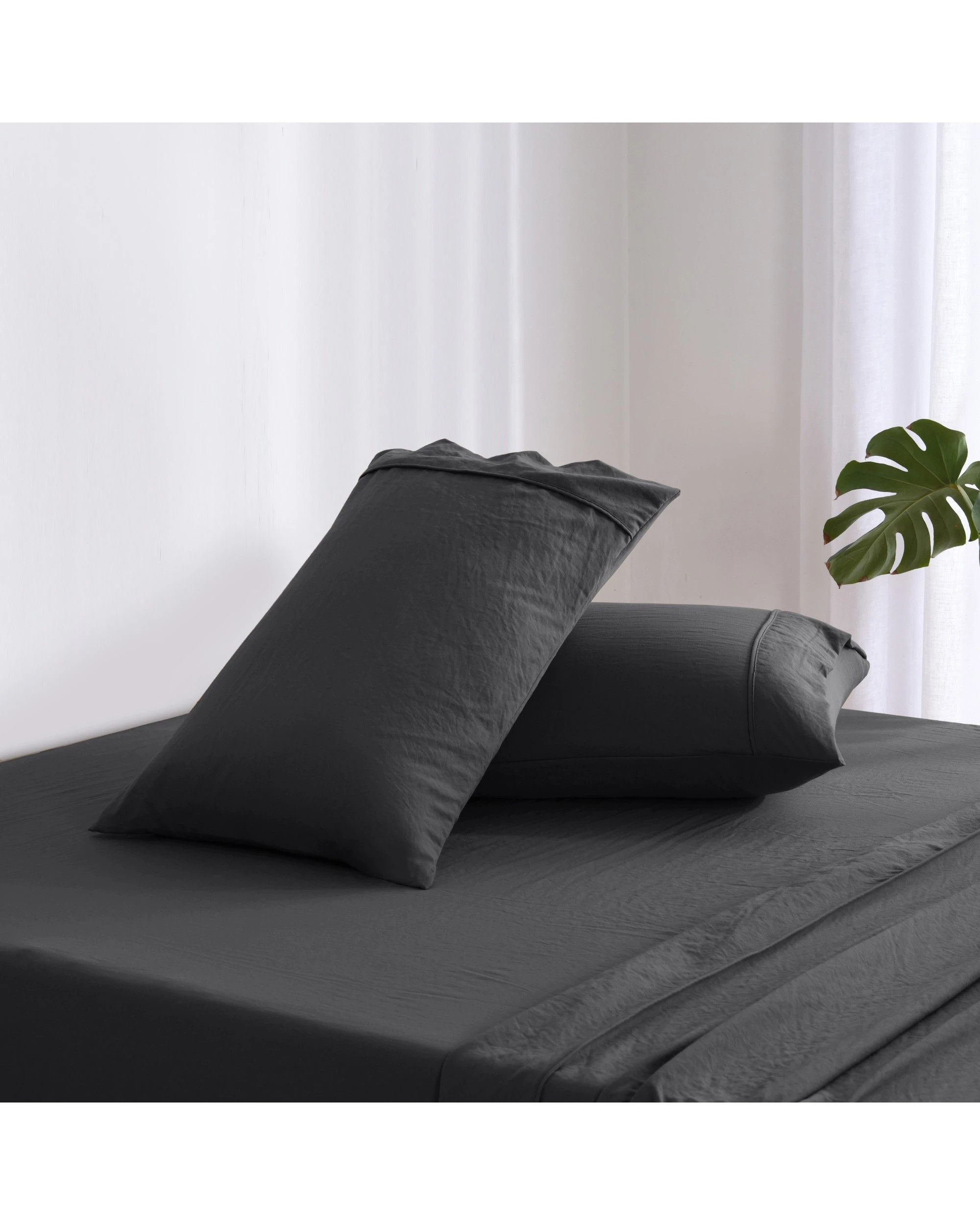 2 Dreamaker Superfine Washed Microfibre Standard Pillowcase Twin Pack - Black, 2 of 5