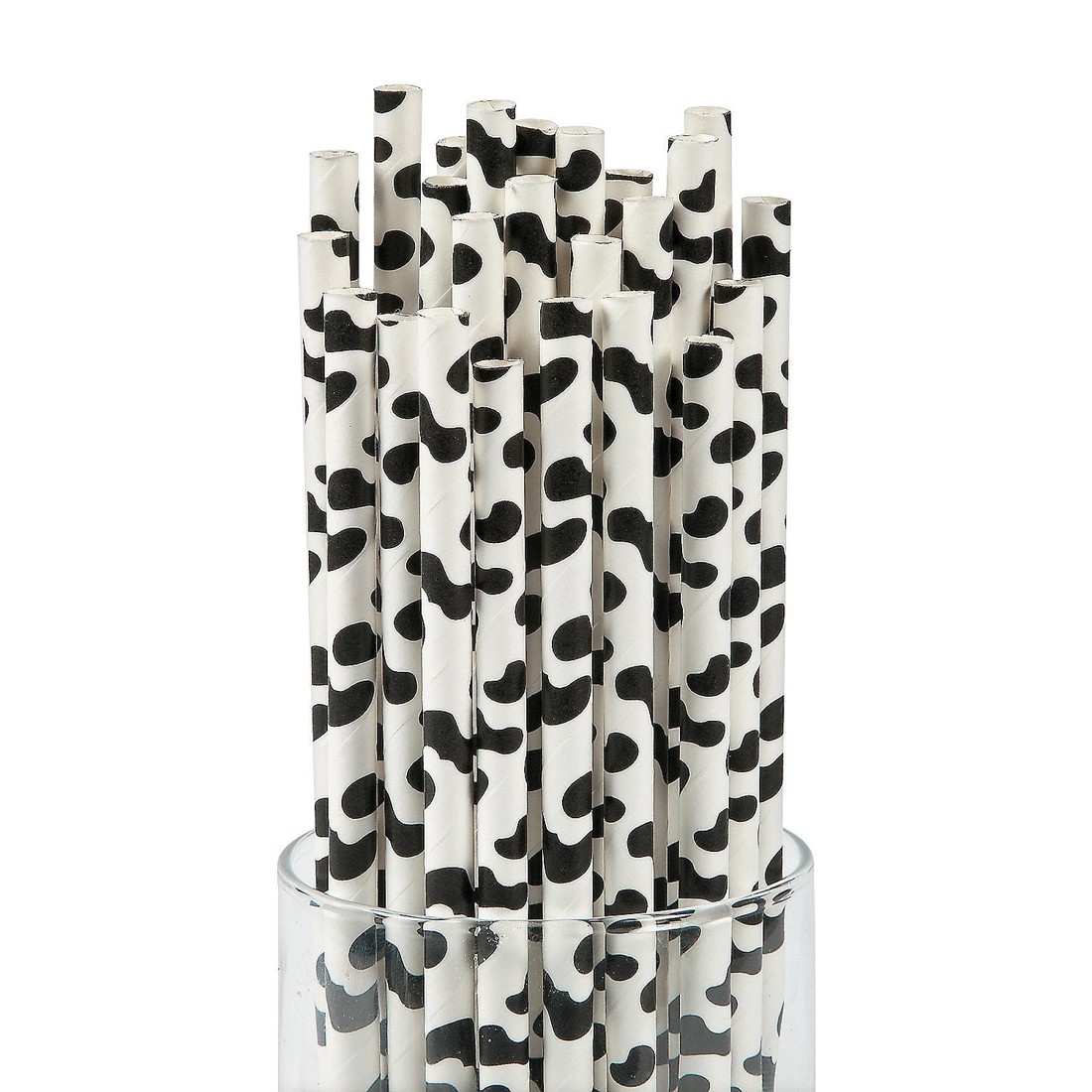 1 Fun Express Cow Print Paper Straws Pack of 24, 1 of 1