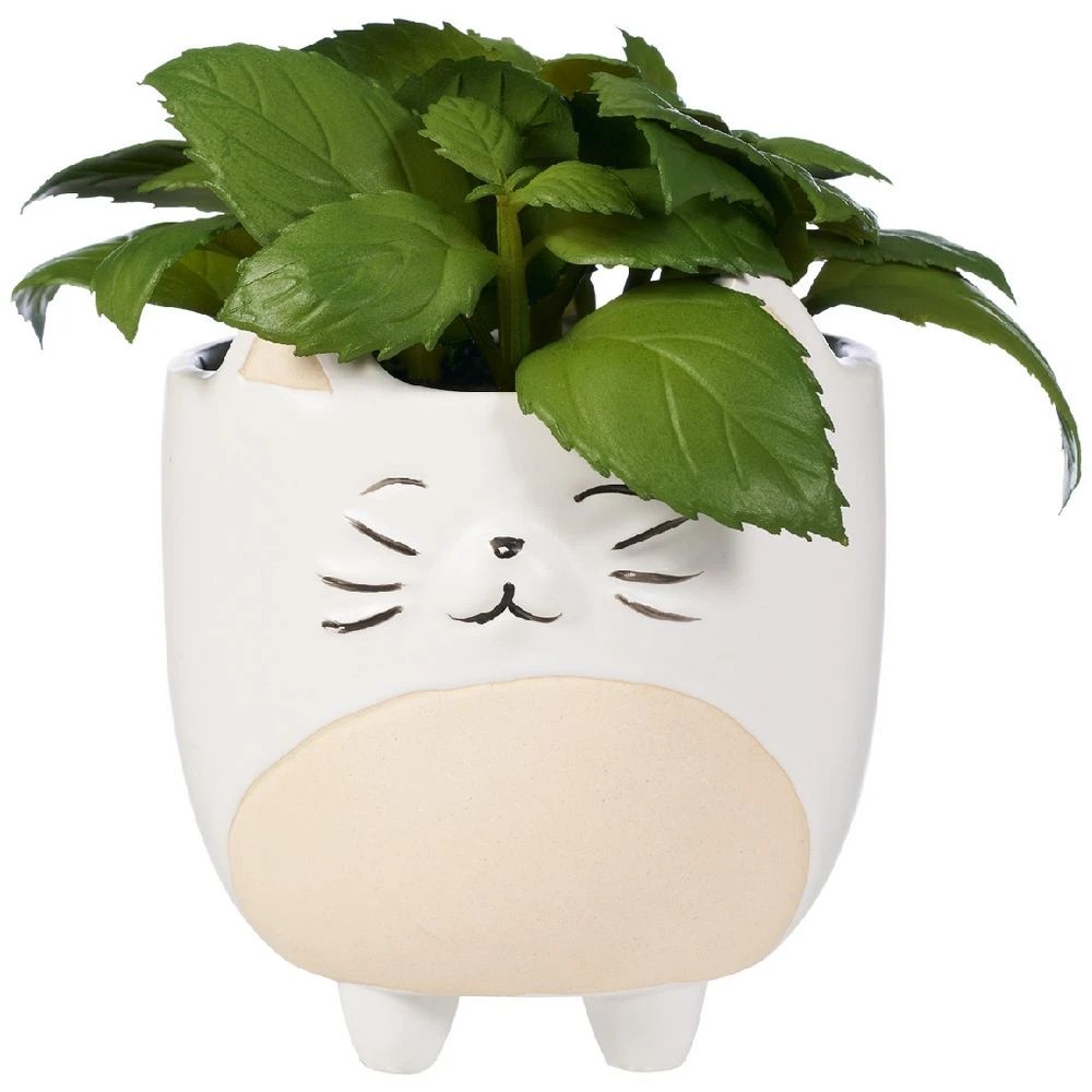 1 Otto Succulent Cat Planter, 1 of 3