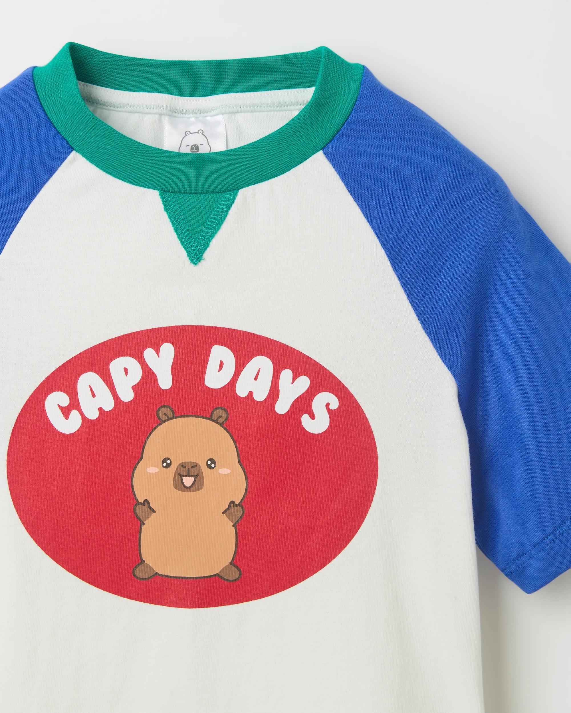 2 CapyFun Australian Cotton Raglan Sleeve Oversized Heavyweight T-Shirt MULTI, 2 of 3