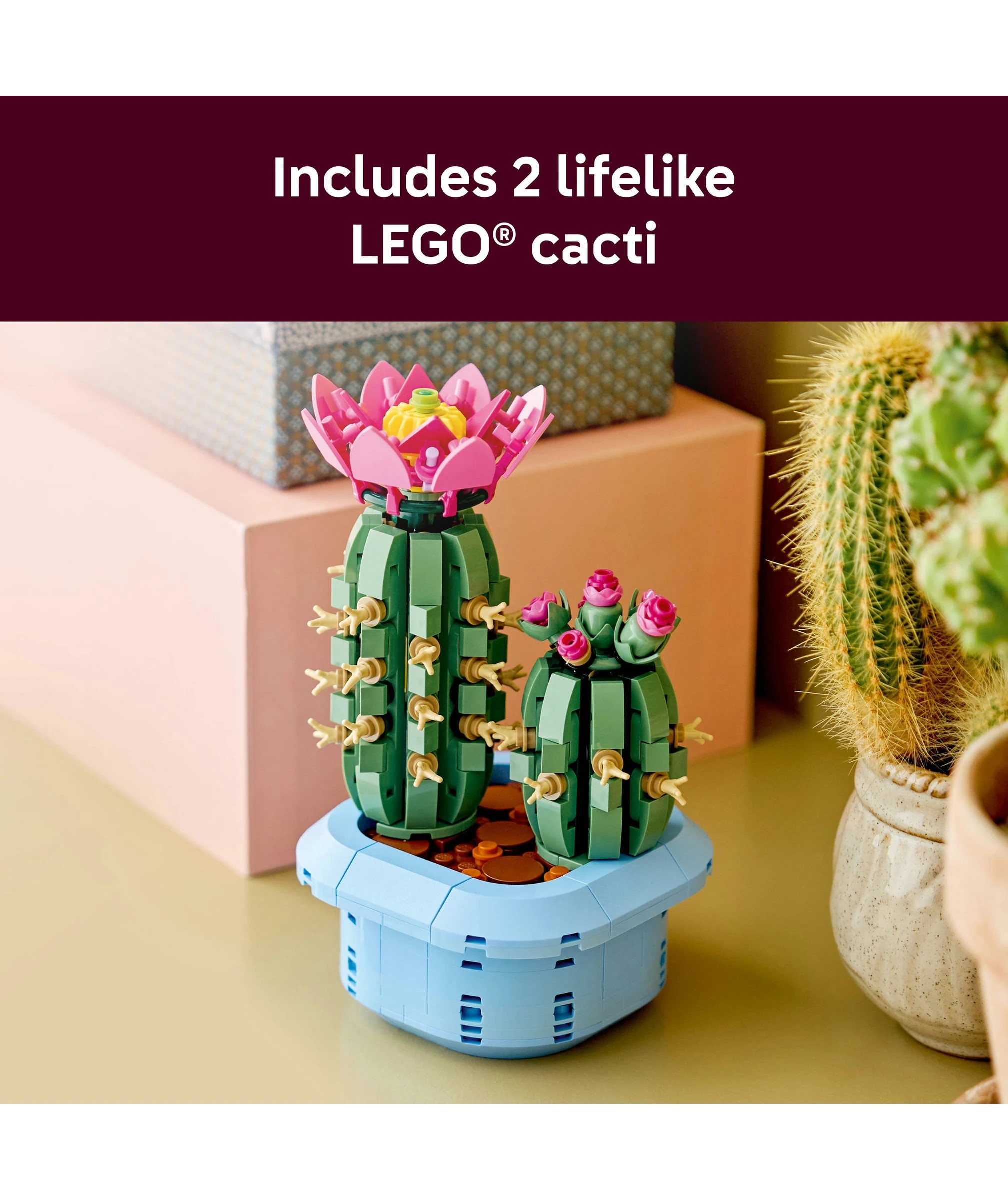 4 LEGO Botanicals Flowering Cactus 11509, 4 of 10