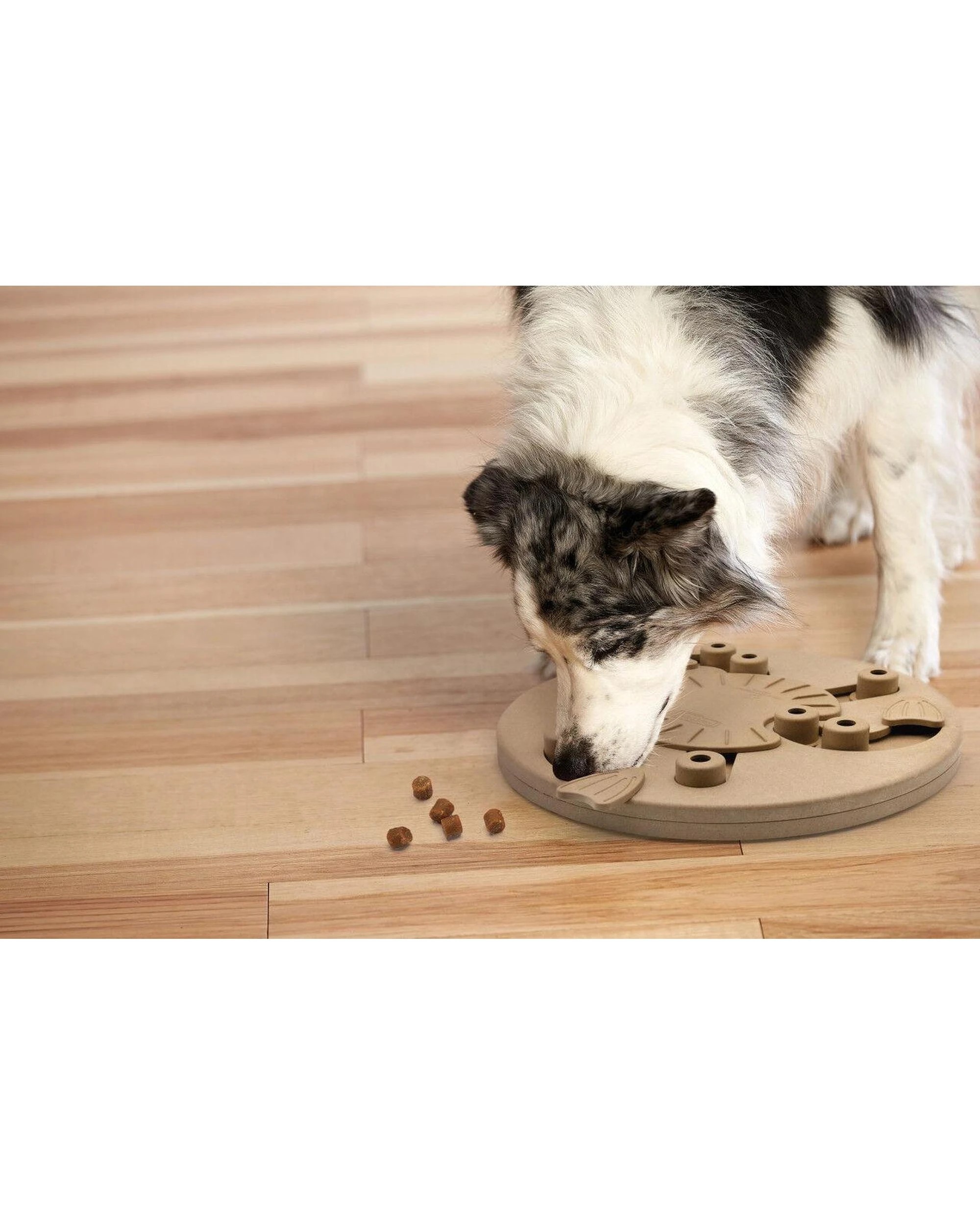 7 Outward Hound Nina Ottosson Dog Worker Treat Dispenser Dog Toy Composite Tan - Brown, 7 of 7