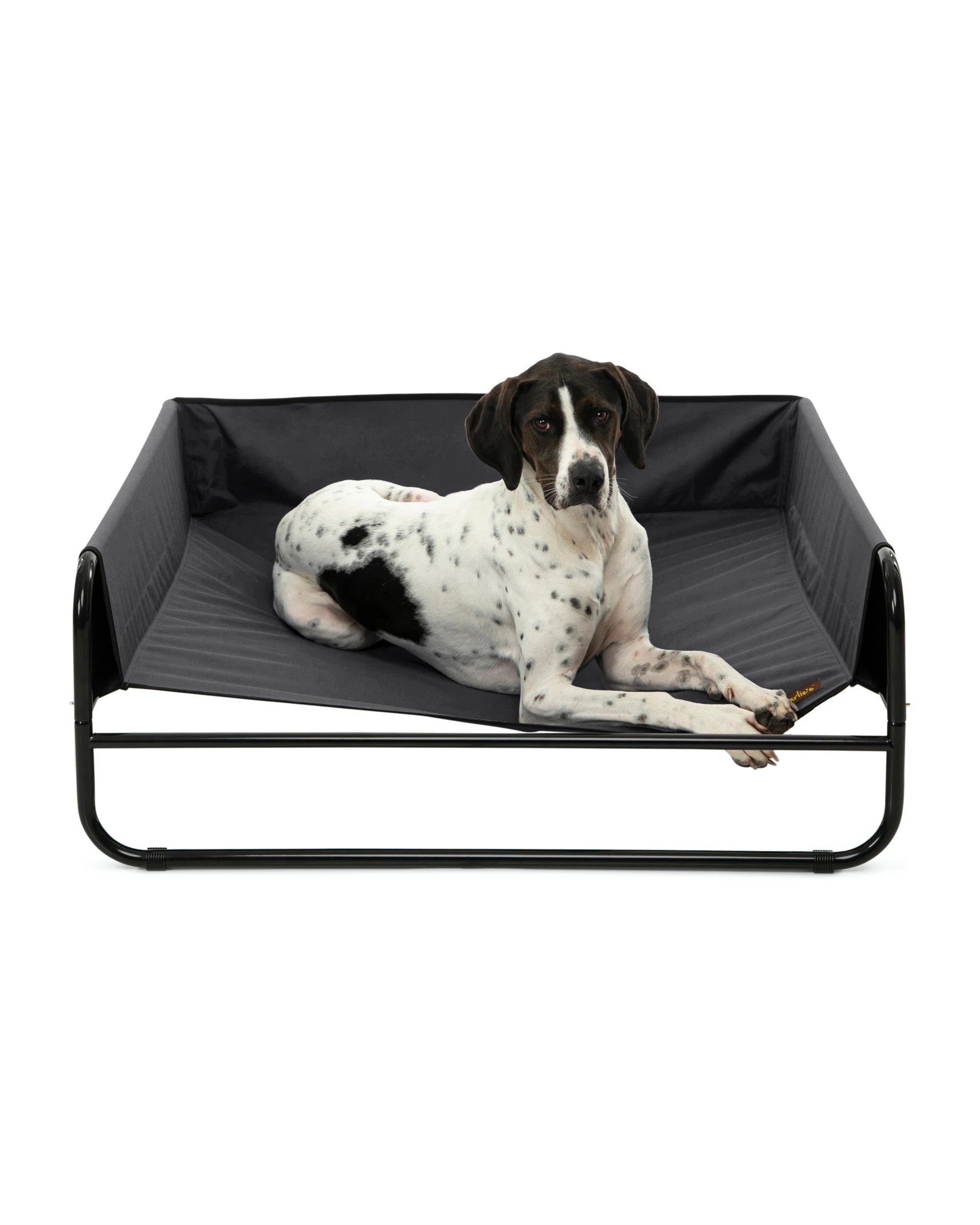 1 Charlie's High Walled Outdoor Trampoline Dog Bed Large - Black, 1 of 5