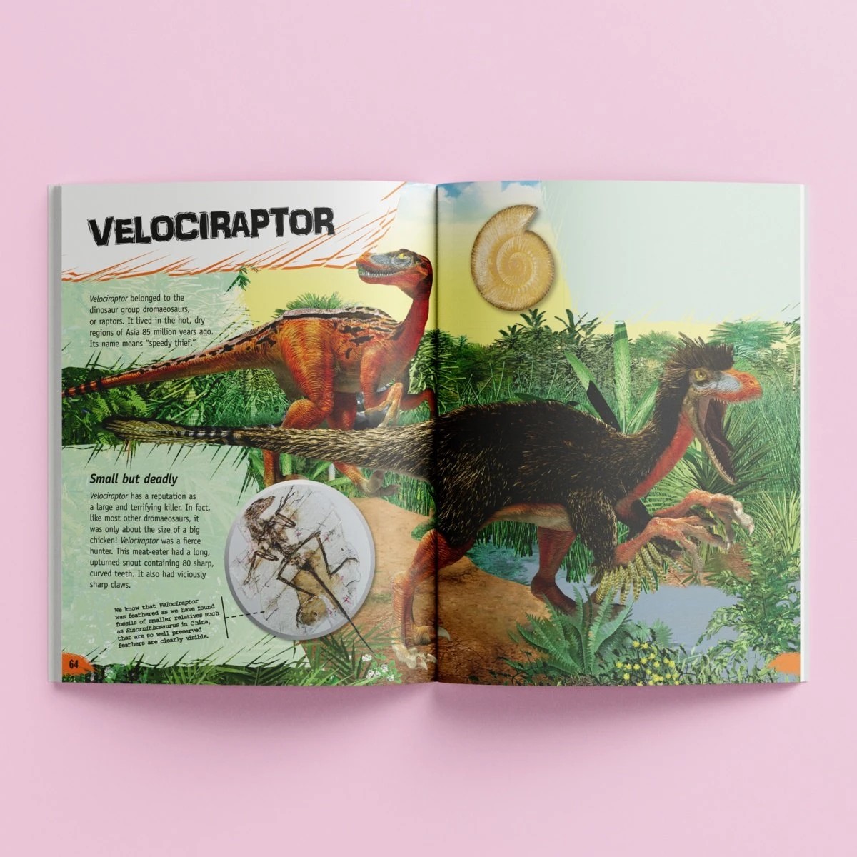 3 Incredible But True: Dinosaurs - Book, 3 of 4