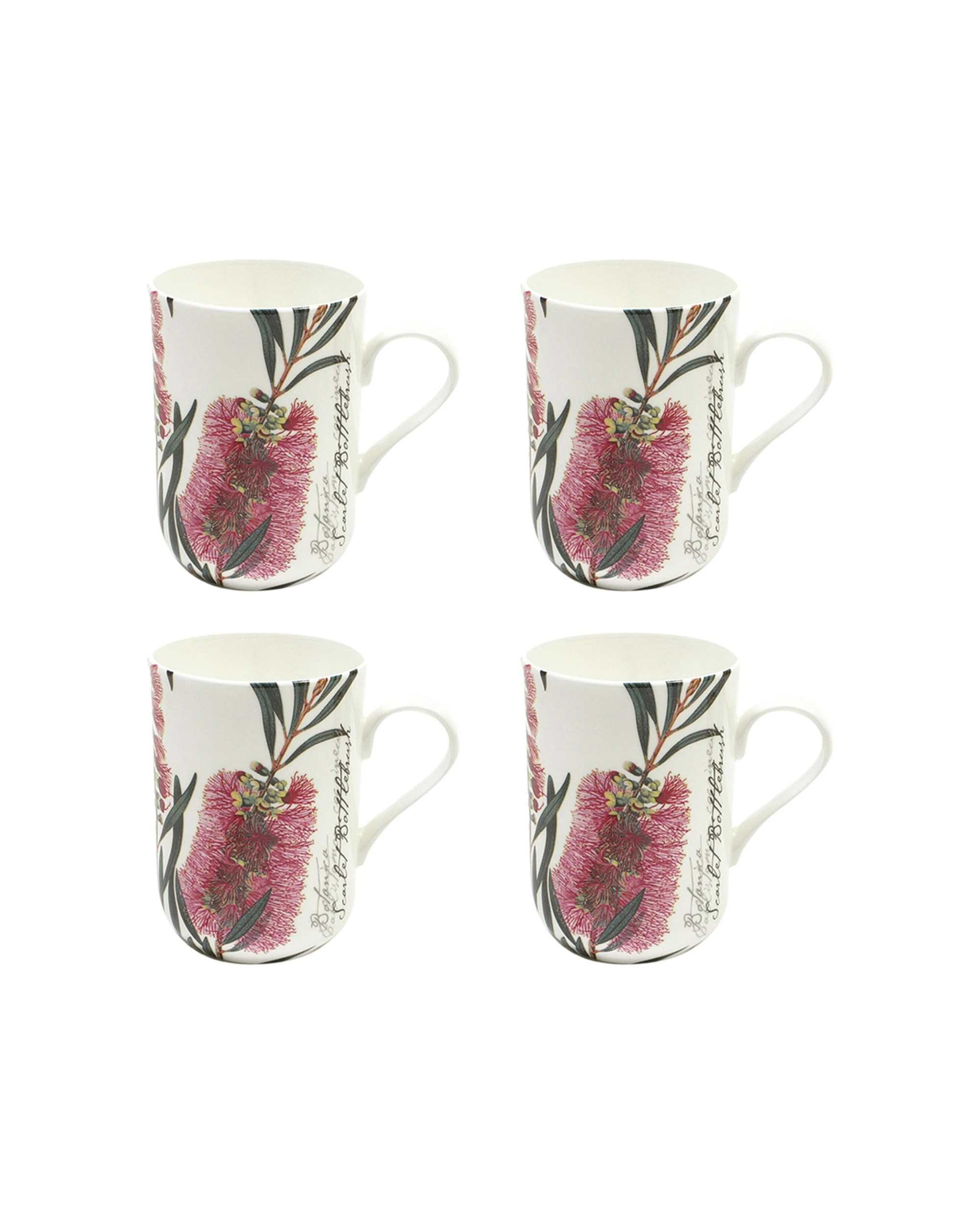 1 Maxwell & Williams 4PK Botanic Mug Bottlebrush Fine Bone China 300ml - Pink, 1 of 1