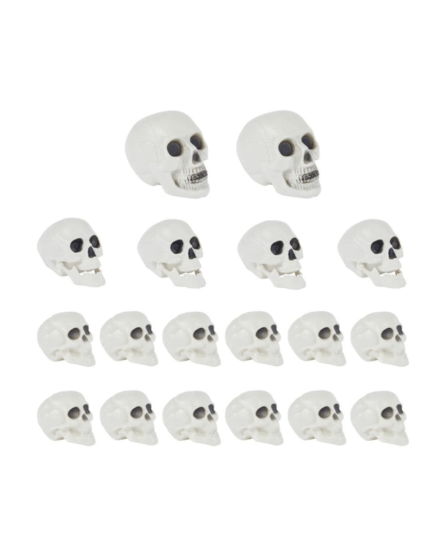 18 Piece Bag of Mini Sk