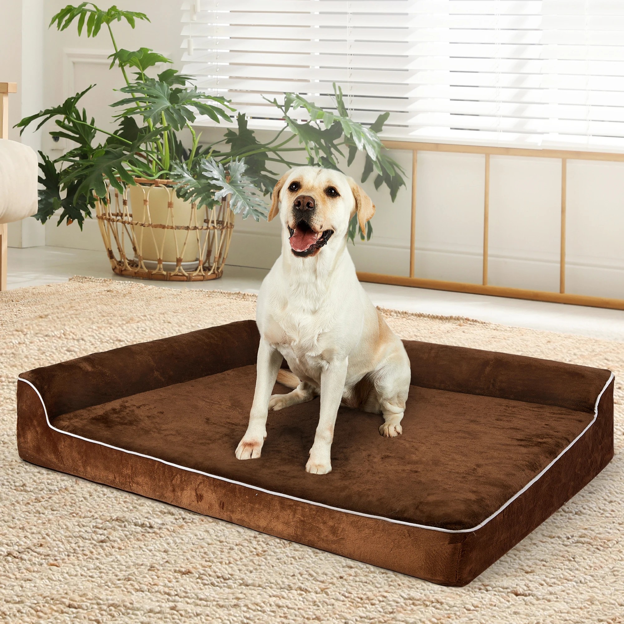 7 Pawz Orthopedic Memory Foam Dog Bed Xxl, 7 of 7
