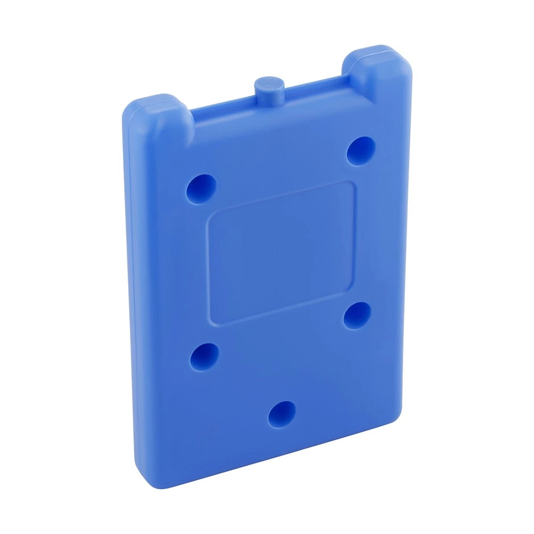 2 Ice Brick - Large, 2 of 2