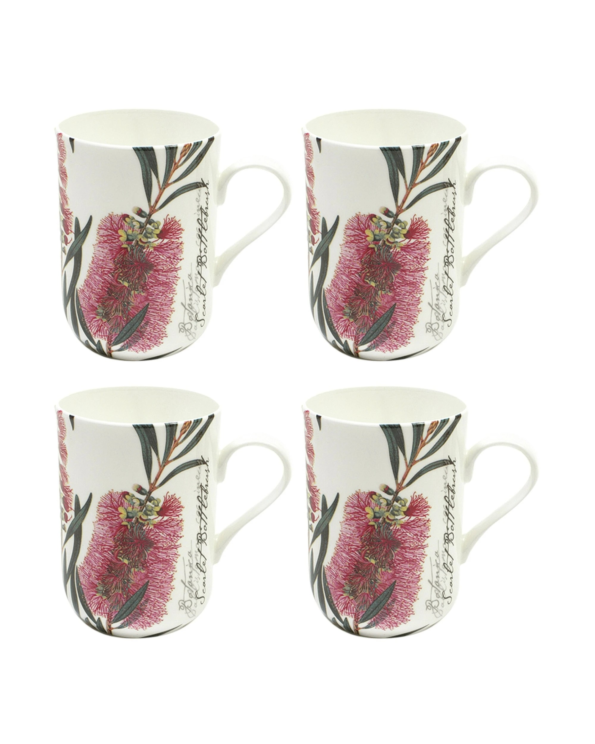 1 Maxwell & Williams 4x Botanic Mug Set 300ml Bottlebrush - Multi, 1 of 2