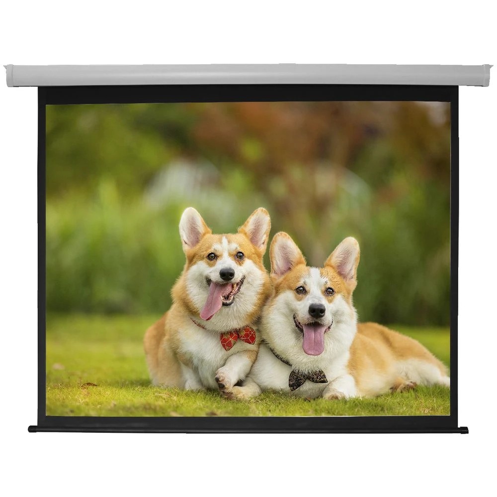 2 Brateck 100" 4:3 Auto-Lock Manual Projector Screen, 2 of 2