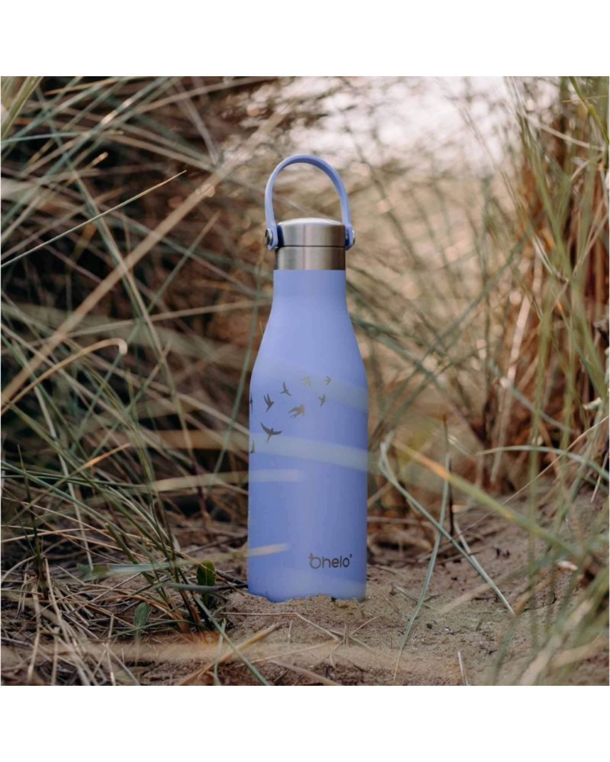 O'Helo Bottle With Etched Swallow 500ml - Blue - Kmart