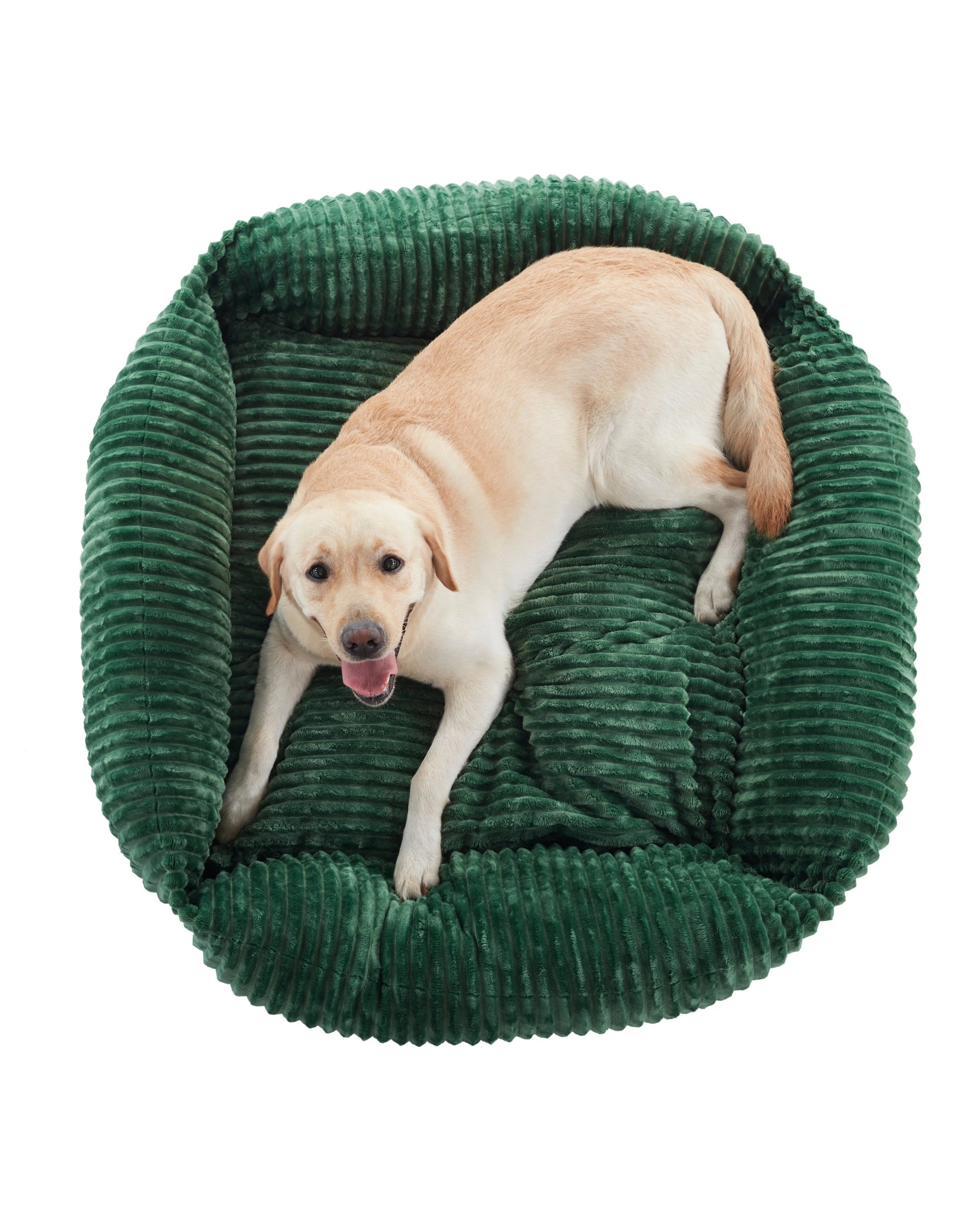 4 Charlie's Ascher Plush Corduroy Square Dog Bed Large - Eden Green, 4 of 10
