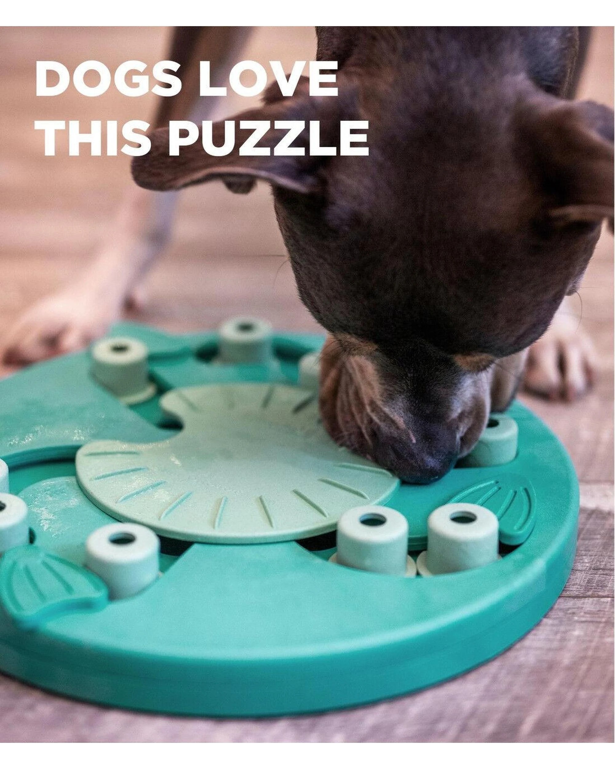 5 Outward Hound Nina Ottosson Dog Worker Treat Dispenser Dog Toy Green - Green, 5 of 8