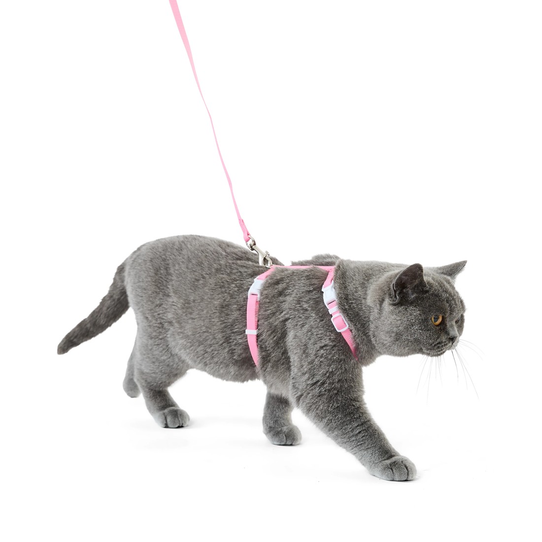 3 Cat Harness and Lead Set - Assorted, 3 of 10