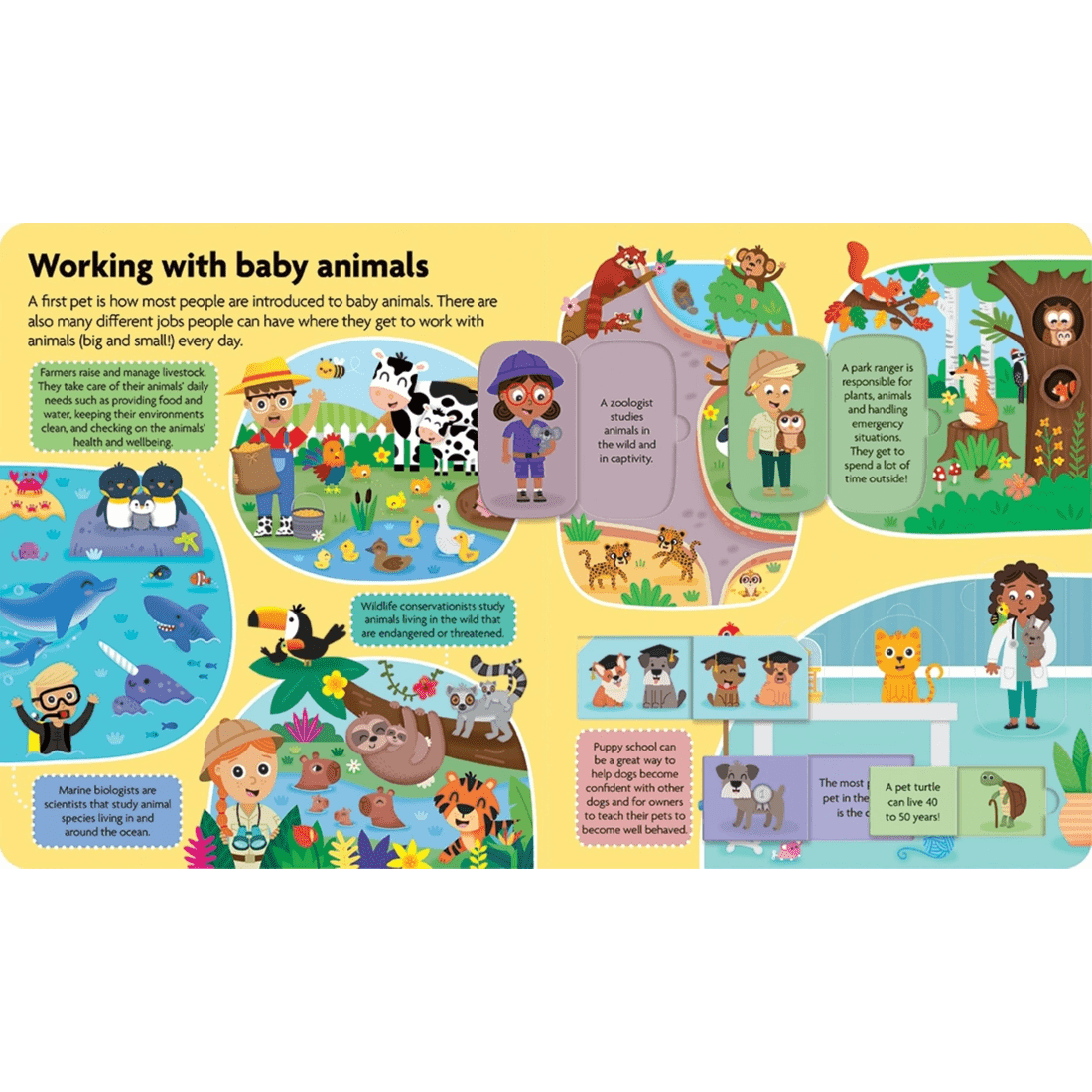 2 All About Baby Animals - Book, 2 of 3