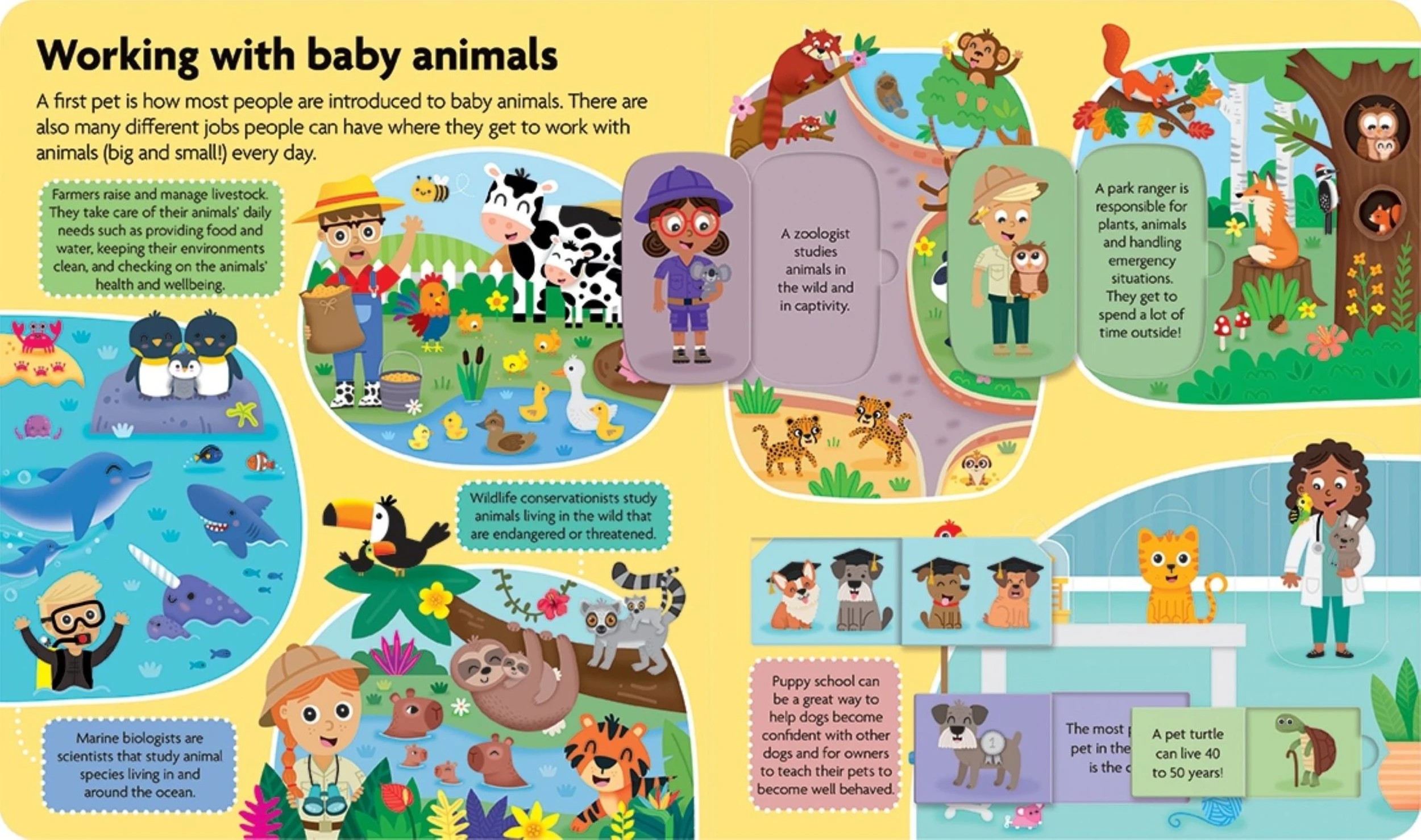 2 All About Baby Animals - Book, 2 of 3