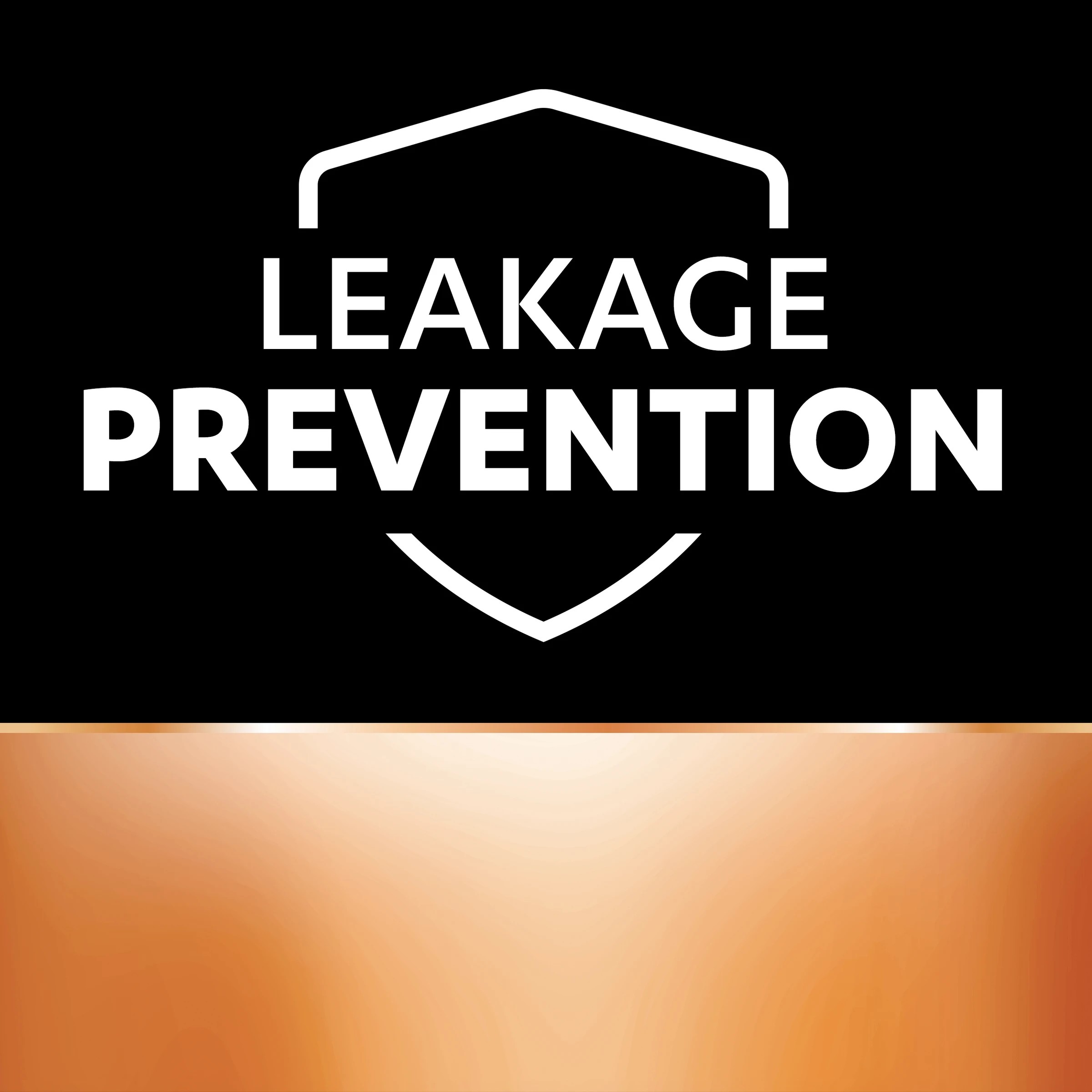 6 Duracell Coppertop Alkaline AAA 26 Pack Batteries, 6 of 10