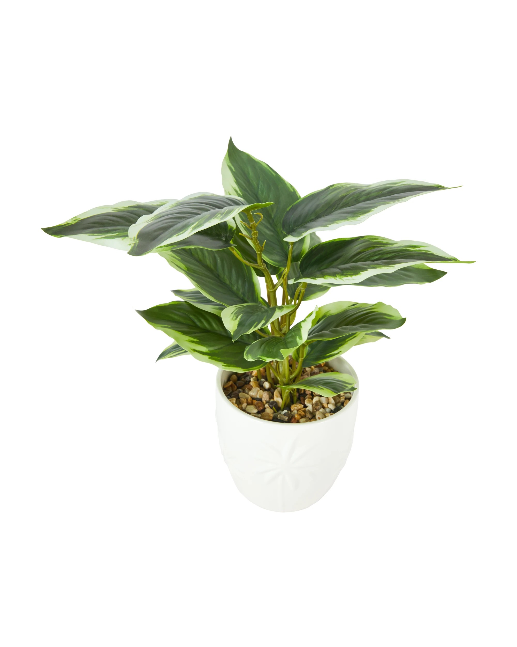 1 Artificial Leopard Lily Plant in Palm Pot, 1 of 3