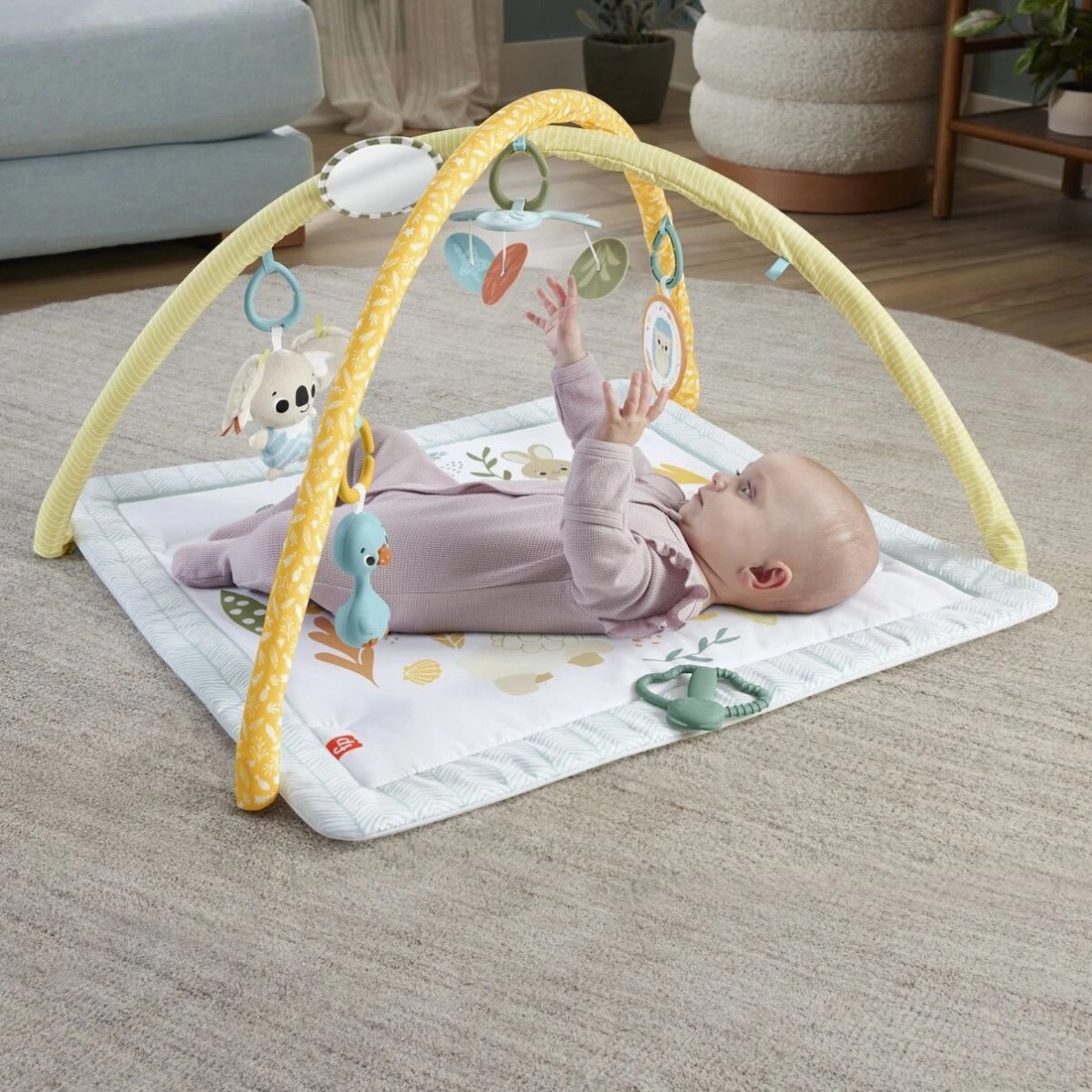 6 Fisher Price Simply Senses Newborn Gym, 6 of 7