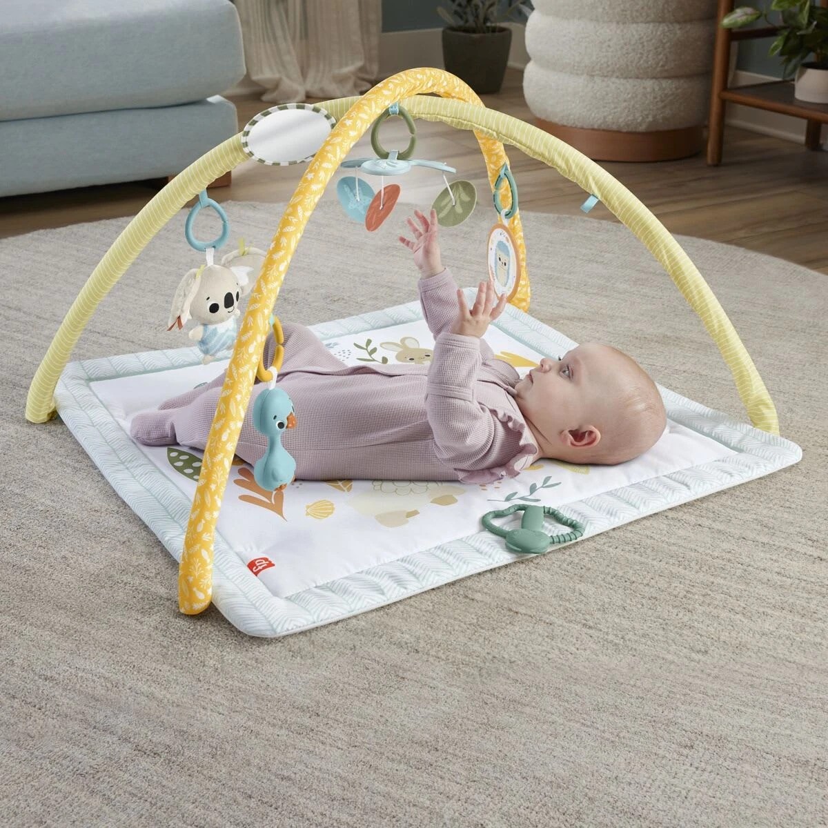 6 Fisher Price Simply Senses Newborn Gym, 6 of 7