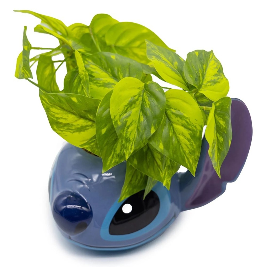 2 Disney - Lilo & Stitch (2025) - Stitch Face Plant & Planter - Blue, 2 of 3