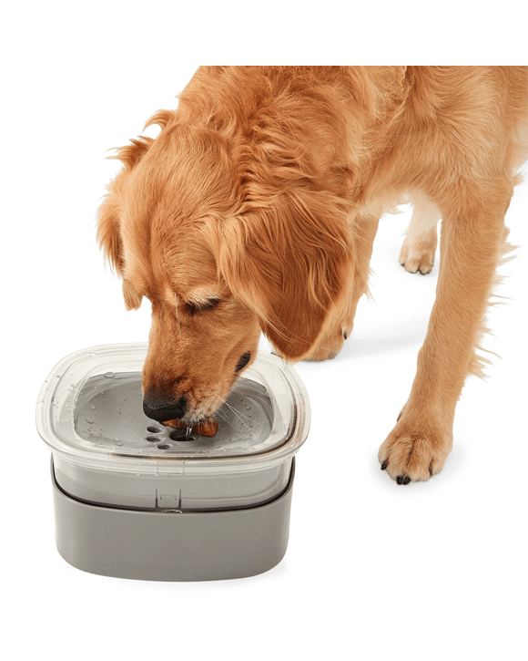 Pet Floating Bowl