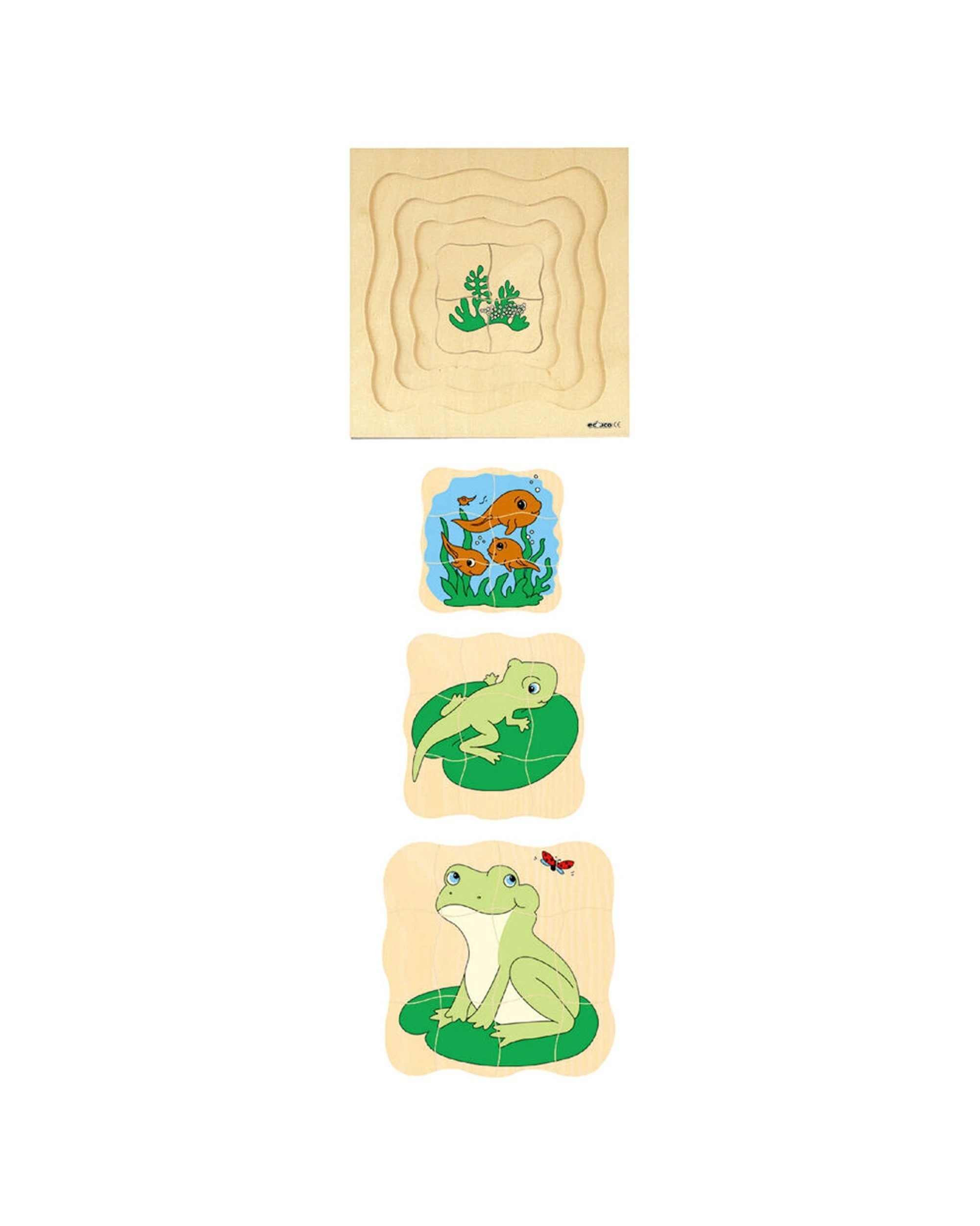 1 EDUCO Multilayer Puzzle 31Pc Kids Frog Life Cycle 24 X 24 Cm Birch Plywood - Multi, 1 of 3