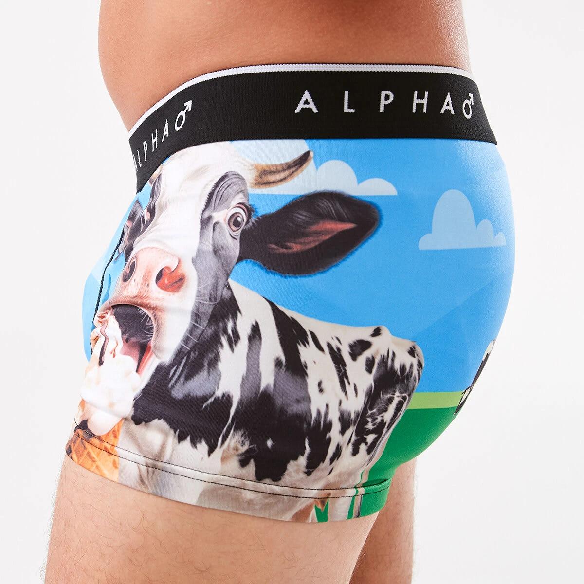 2 License Print Trunks Salt Caram, 2 of 6