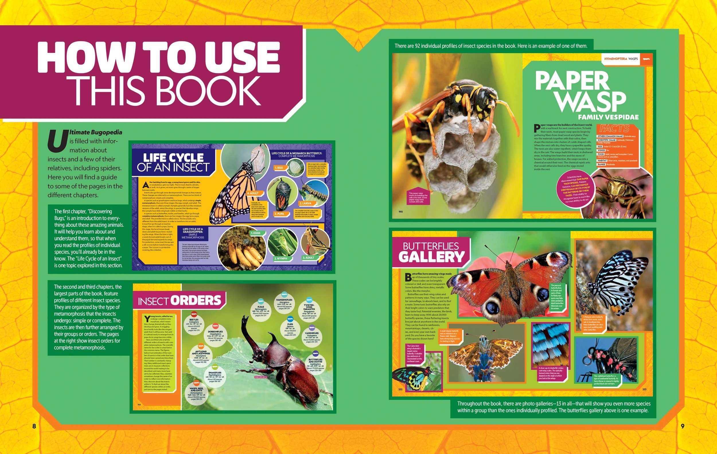 4 National Geographic Kids: Ultimate Bug-0pedia Second Edition by  Darlyne Murawski and Nancy Honovich - Book, 4 of 7