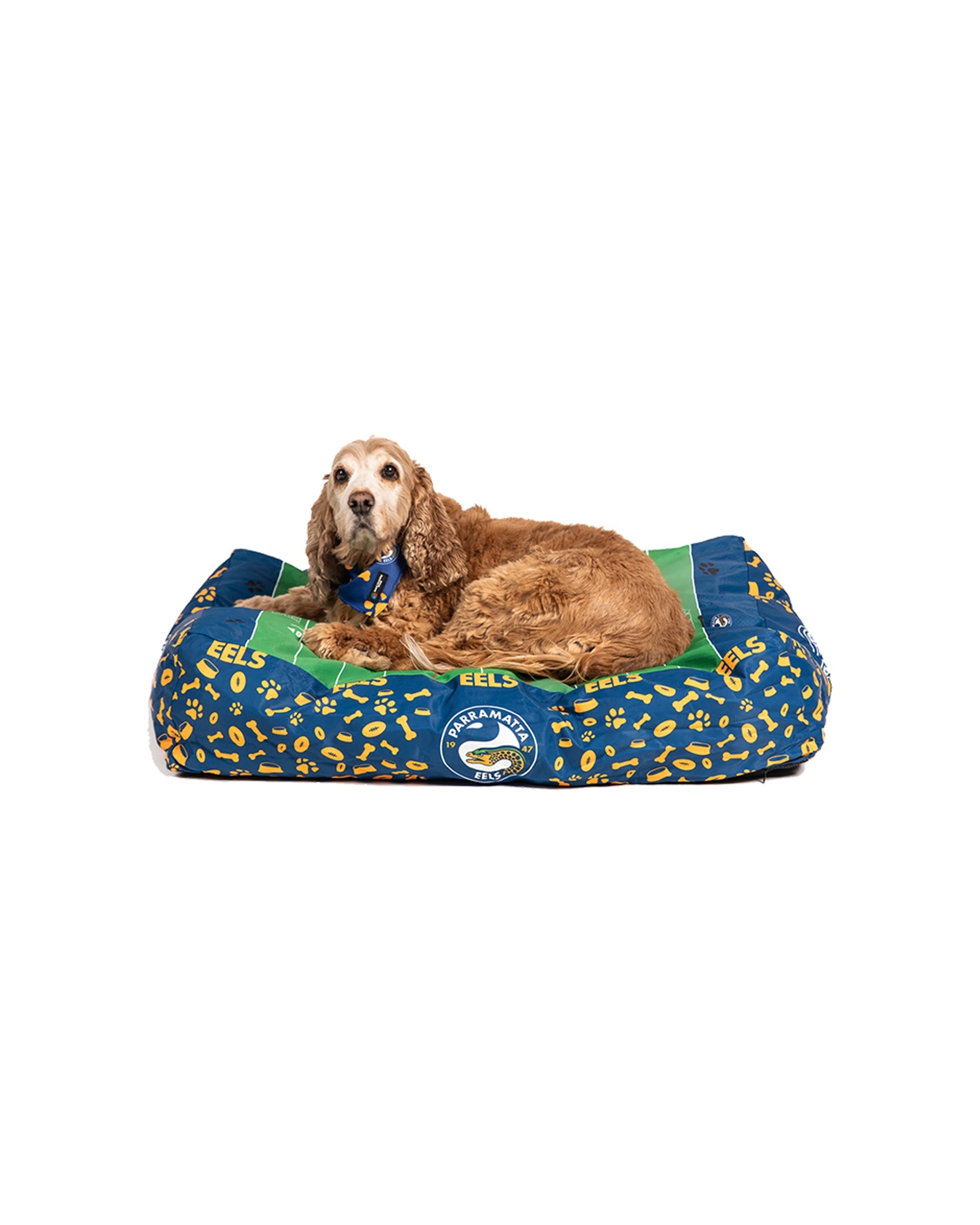 3 NRL North Queensland Cowboys 80x60cm Rectangle Pet Dog Bed - Team-Themed - Multi, 3 of 3