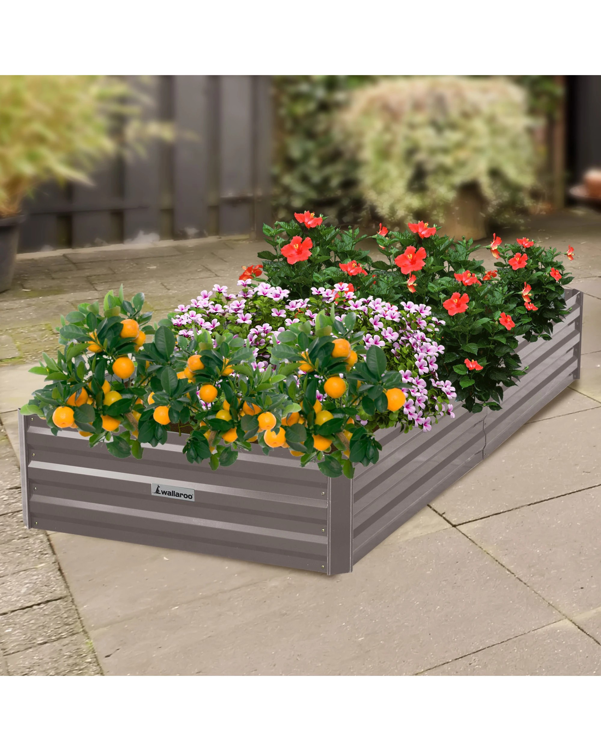 3 Wallaroo Galvanized Steel Raised Garden Bed 210 x 90 x 30cm Plants Vegetables Herbs Flowers - Grey, 3 of 5