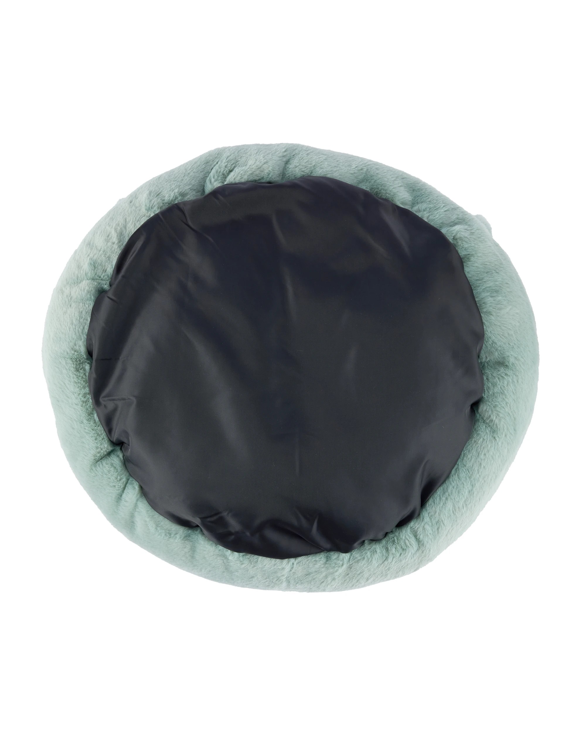 7 Cat Snuggle Dino Bed, 7 of 8