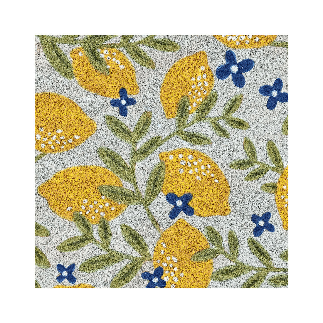 2 J.elliot Home Lemons 45x75cm Door Mat Floor Area Rug Pvc Backed Coir Rectangle
 - Multi, 2 of 3